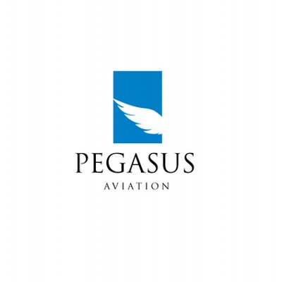 pegasus-big1_400x400.jpg