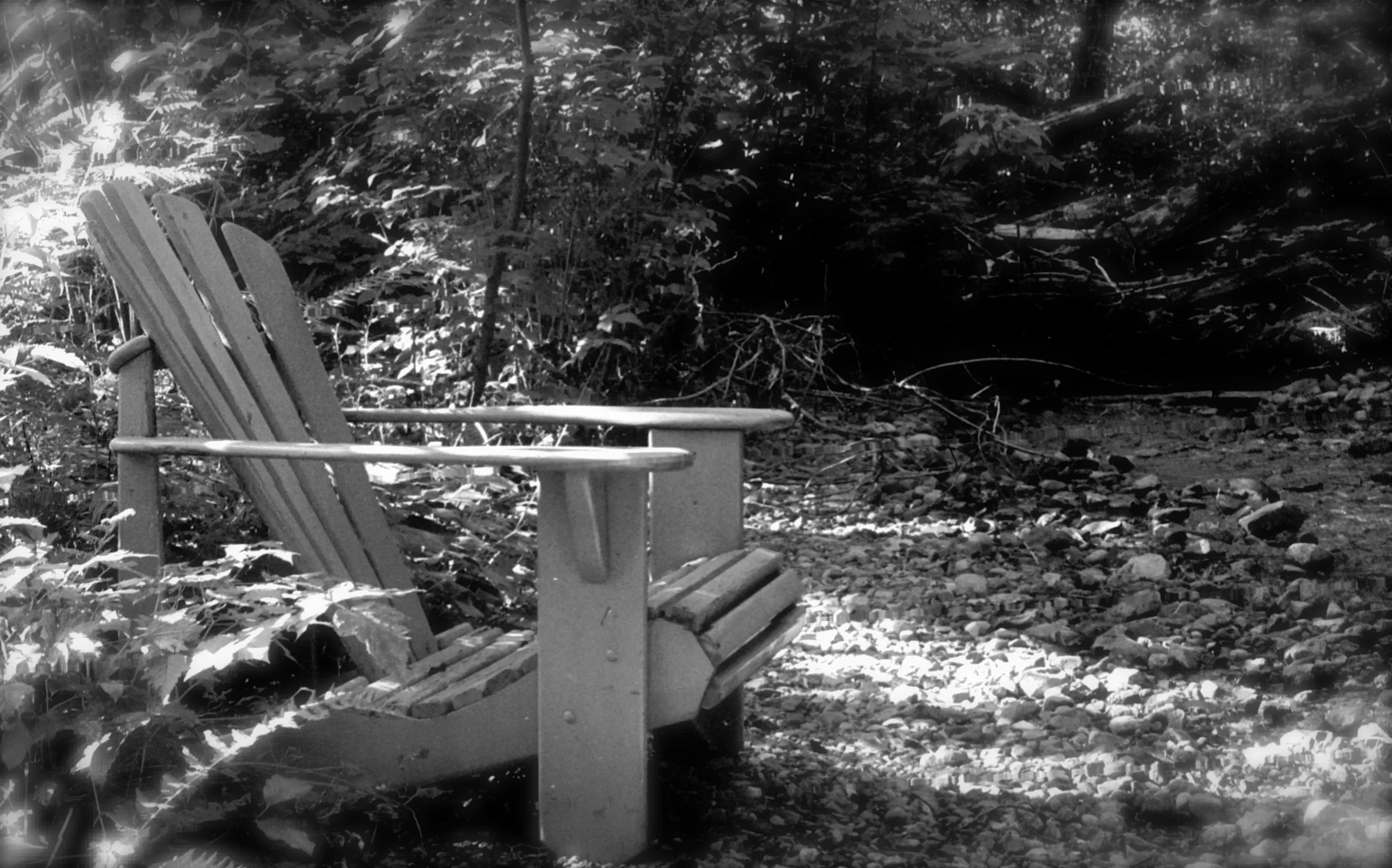 FilmPhotos - 34.jpg