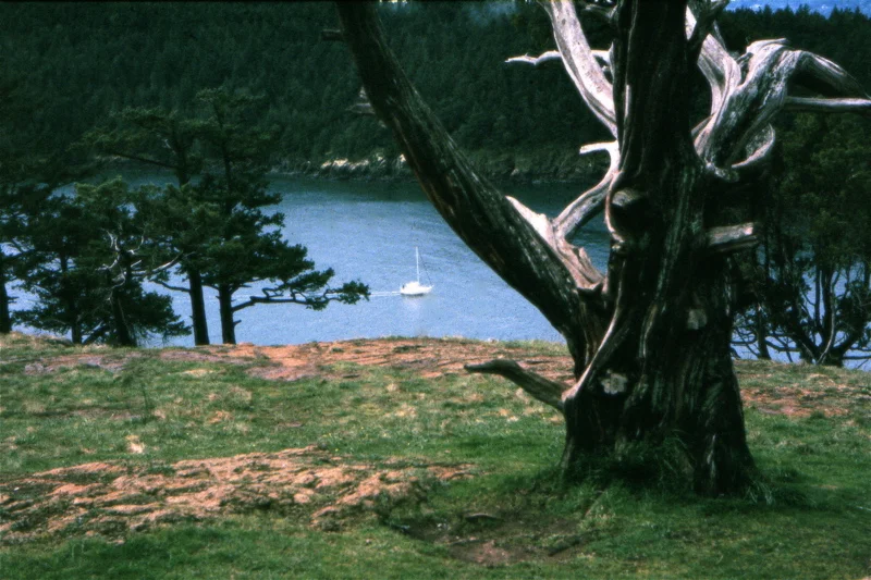 FilmPhotos - 8.jpg