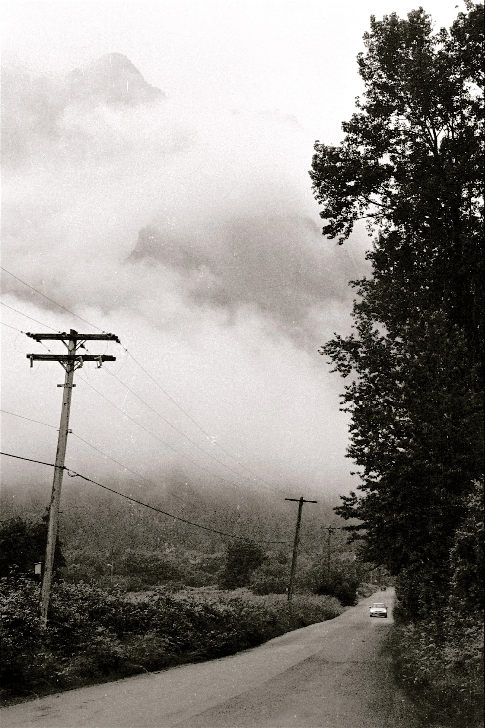 FilmPhotos - 20.jpg