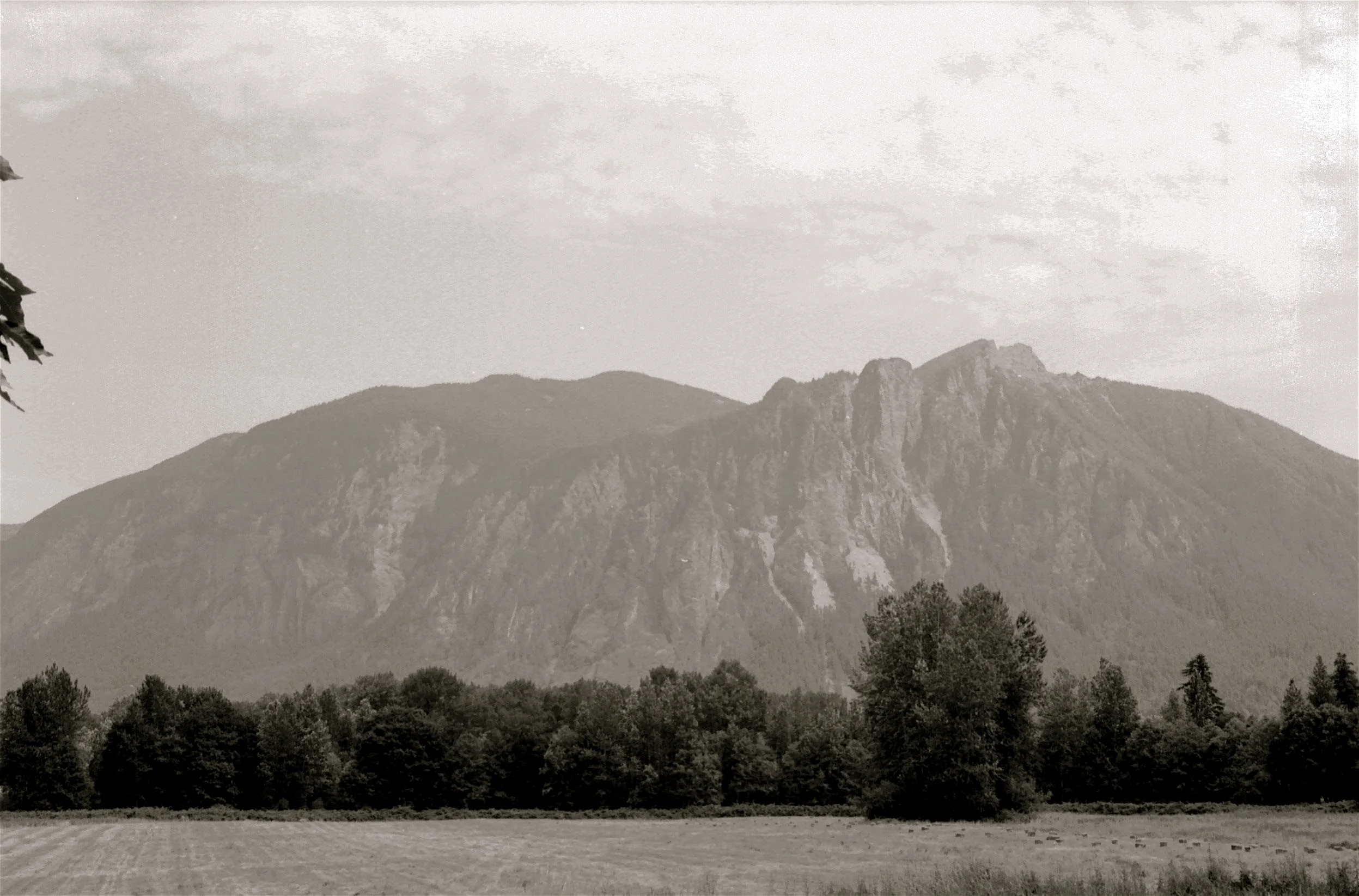 FilmPhotos - 38.jpg