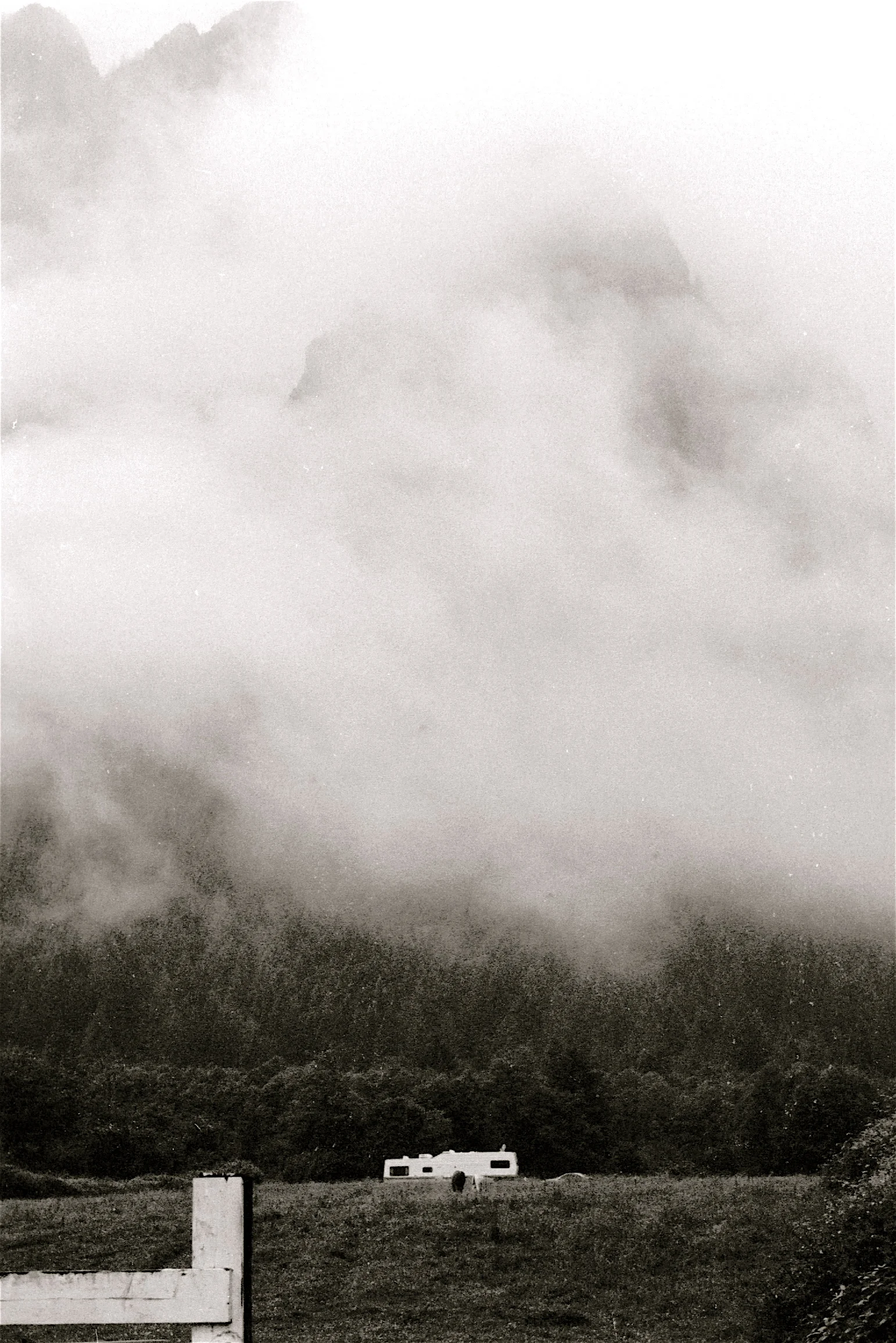 FilmPhotos - 21.jpg