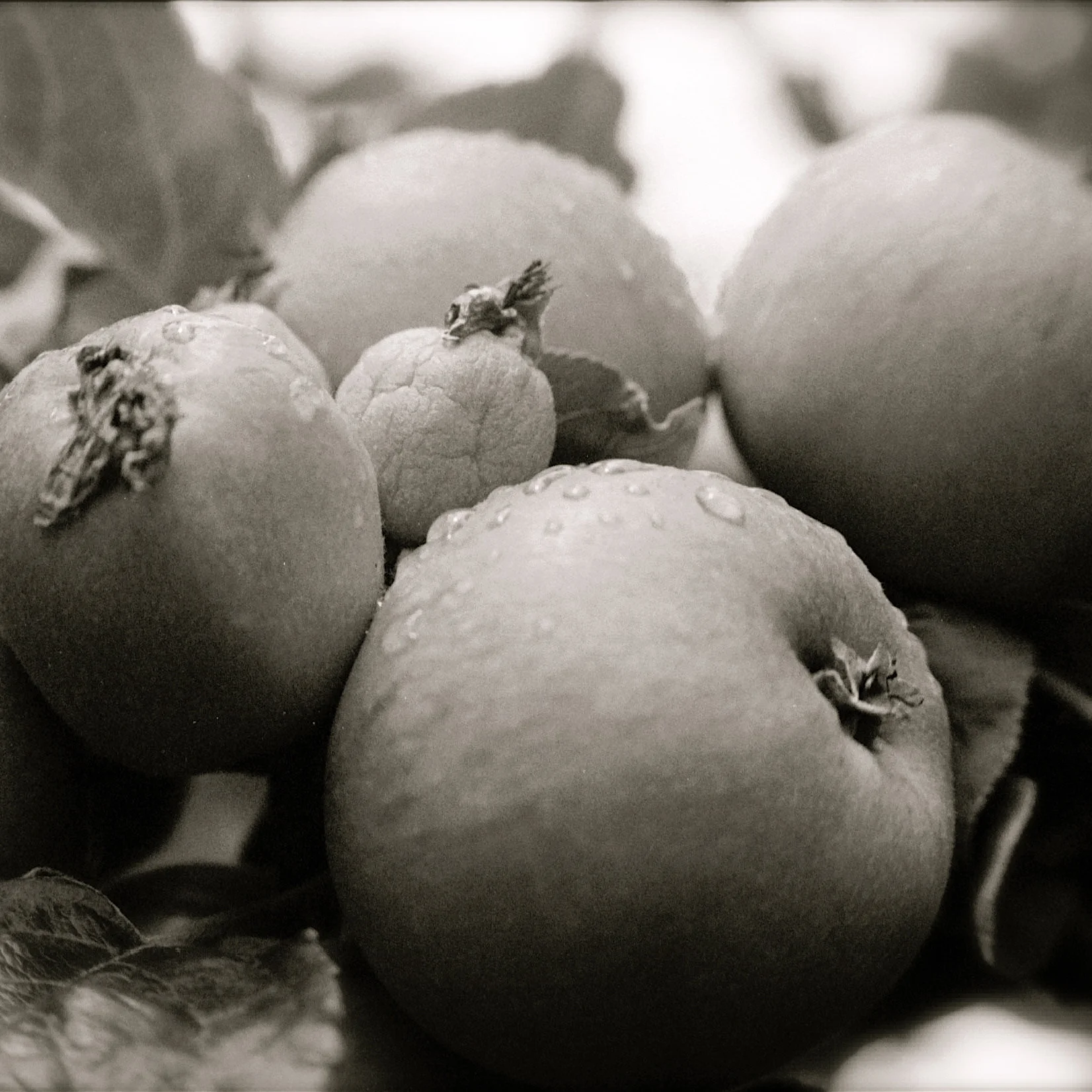 FilmPhotos - 22.jpg