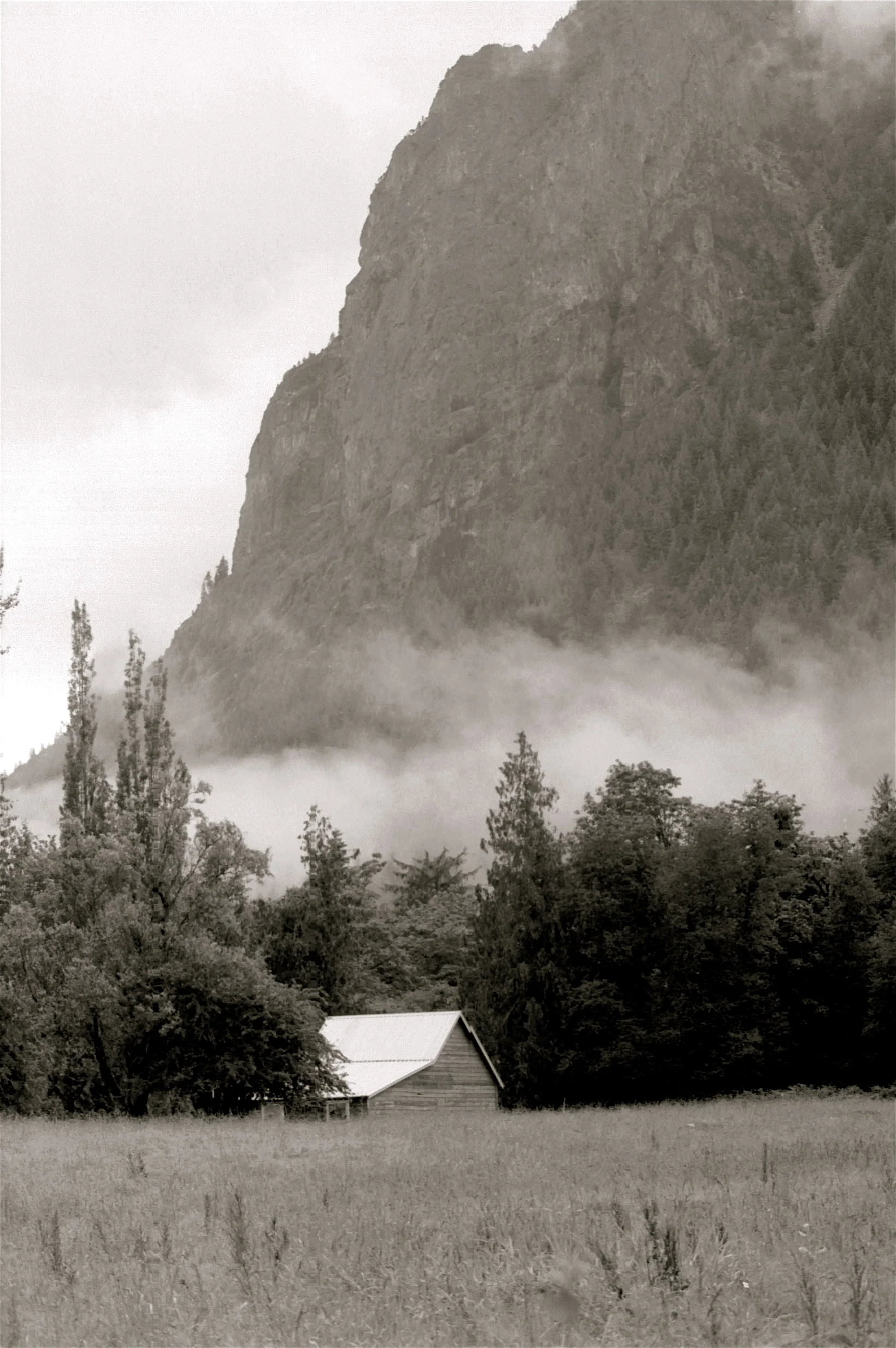 FilmPhotos - 37.jpg