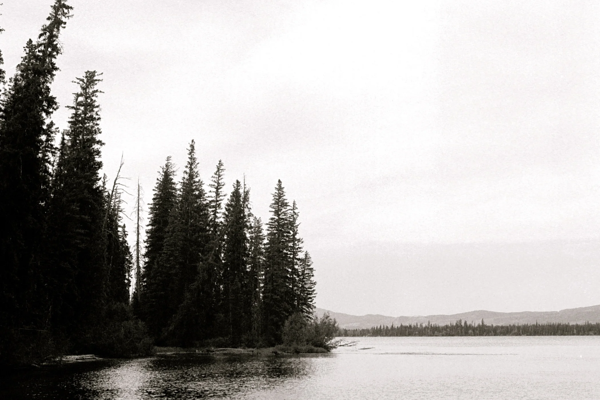 FilmPhotos - 31.jpg