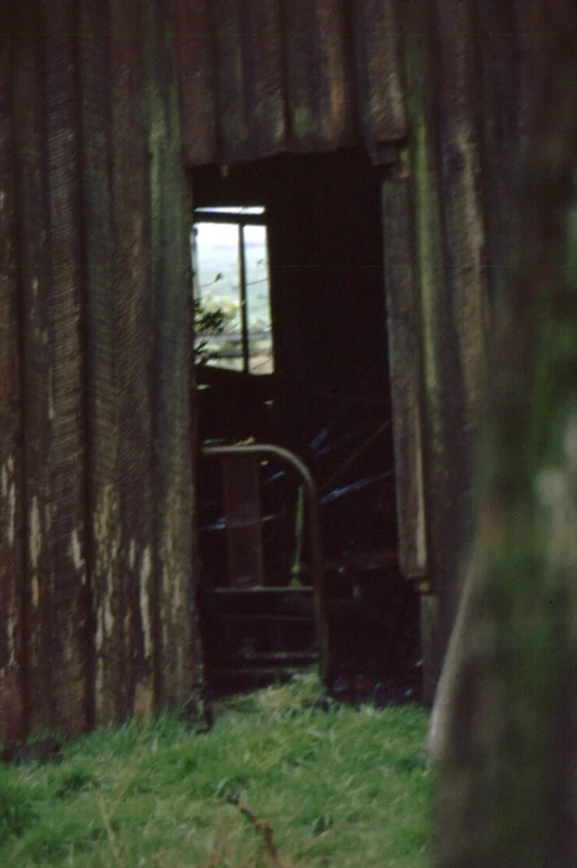 FilmPhotos - 5.jpg