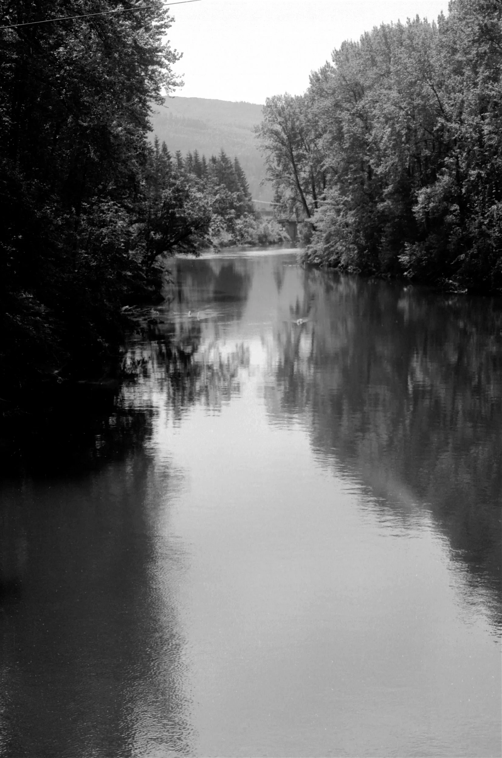 FilmPhotos - 43.jpg