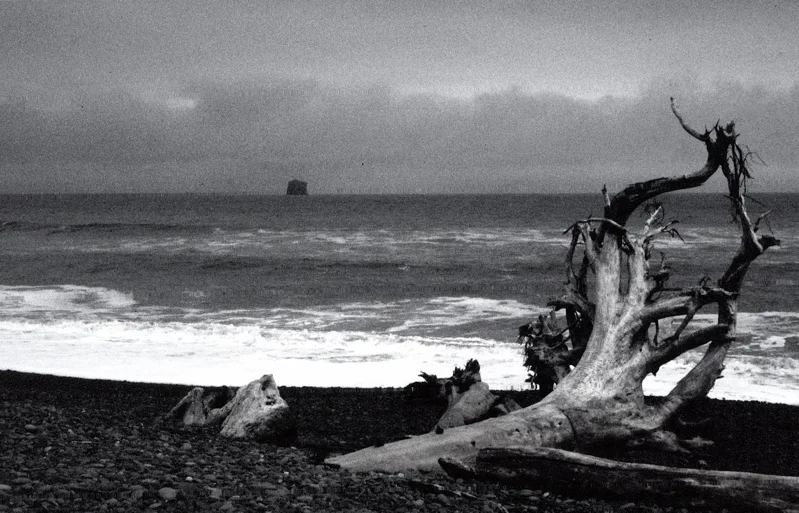 FilmPhotos - 12.jpg