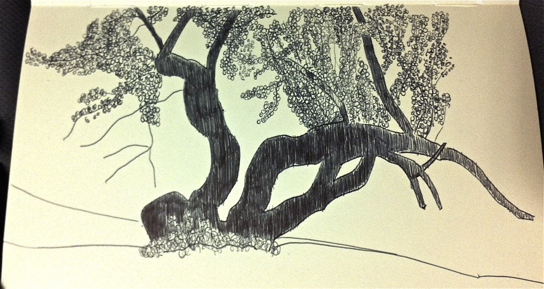 SketchingSnoValley - 11.jpg