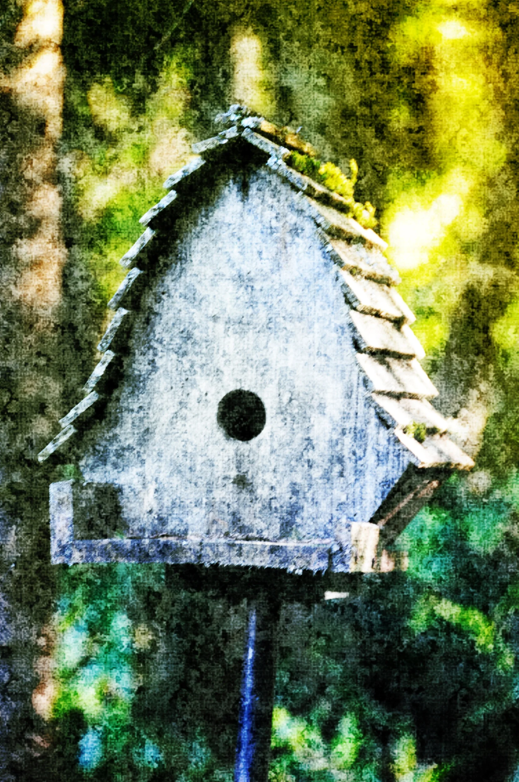 autumn-bird-house_2911658924_o.jpeg