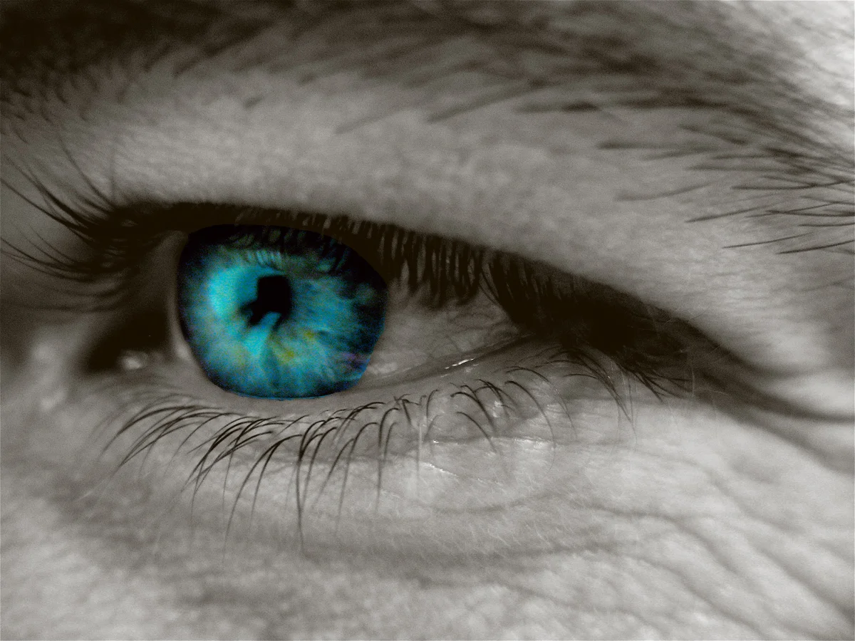 eye-close-up_310090731_o.jpeg
