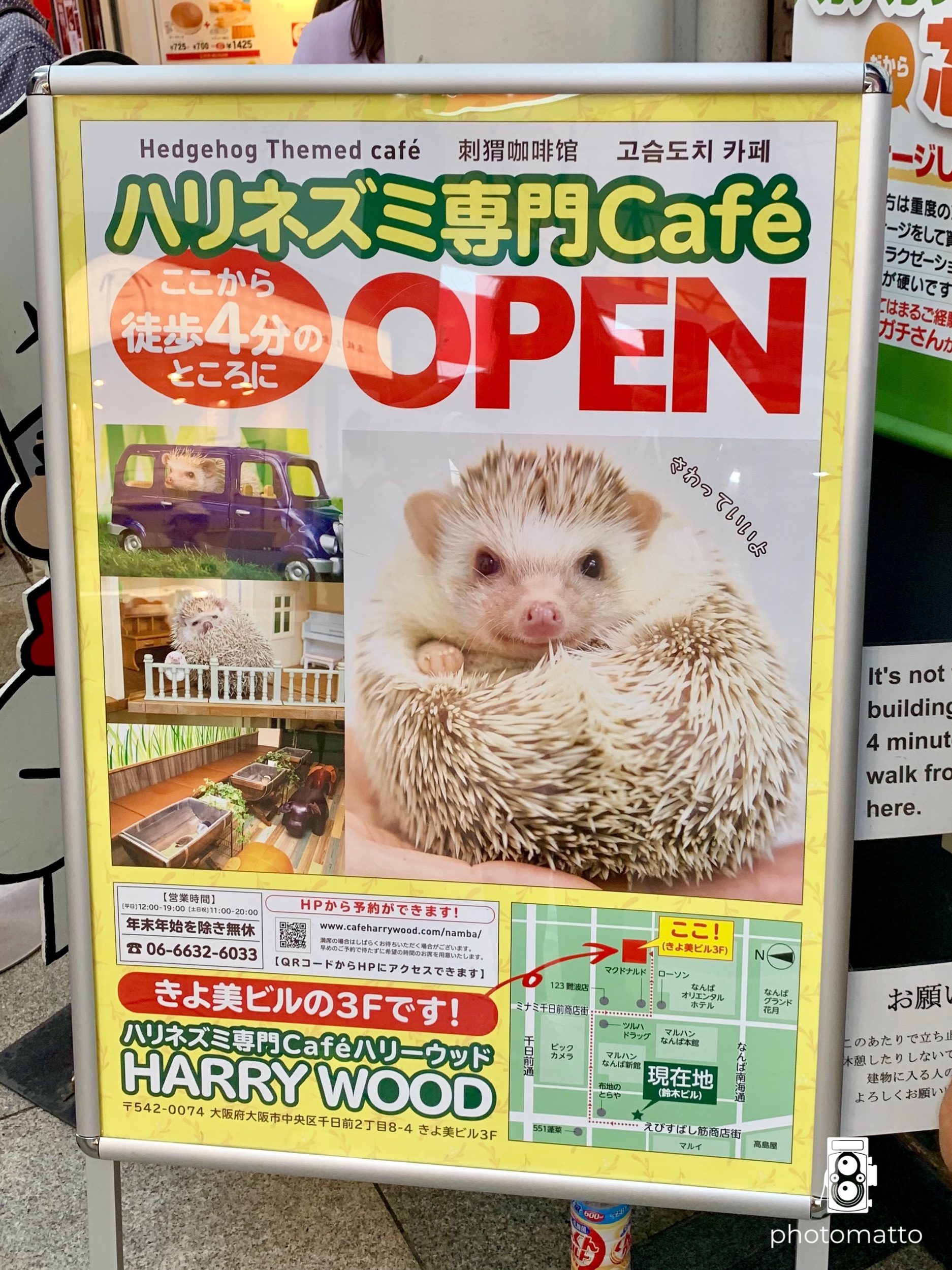 public.jpeg