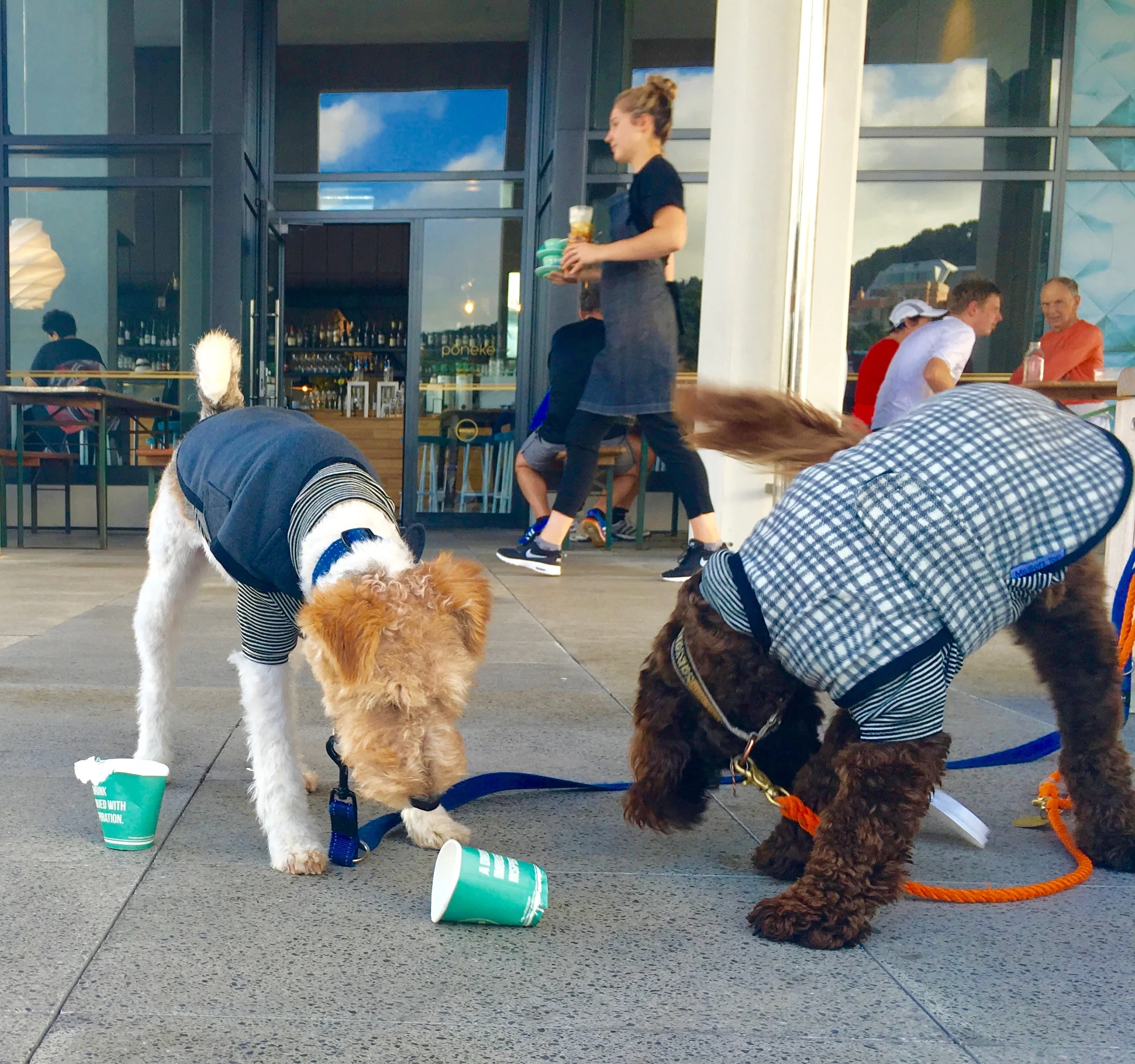 Playtime with cups and jackets.