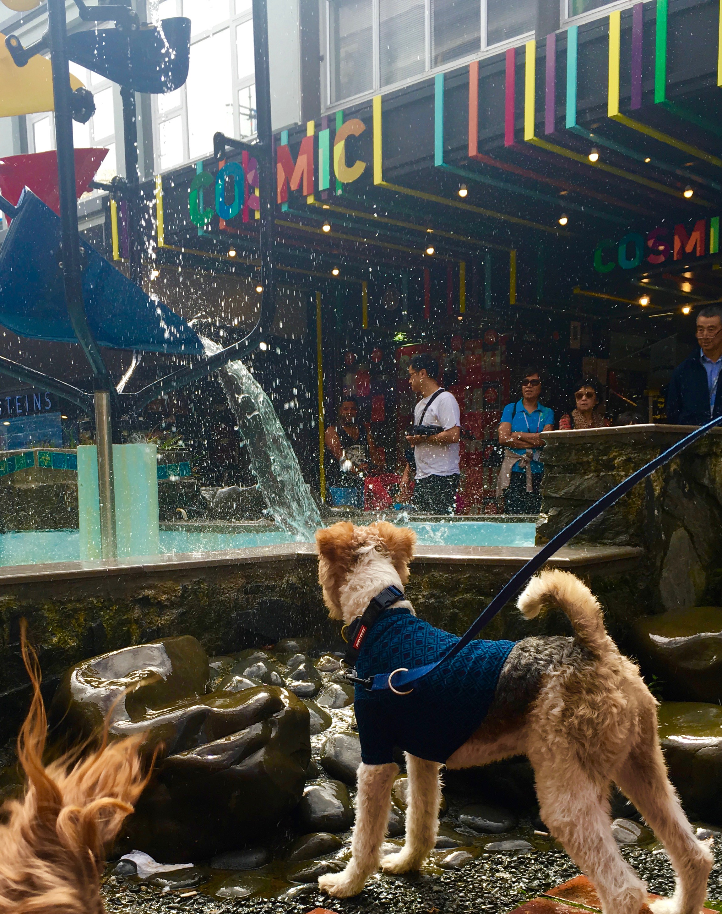 There goes the bucket fountain!