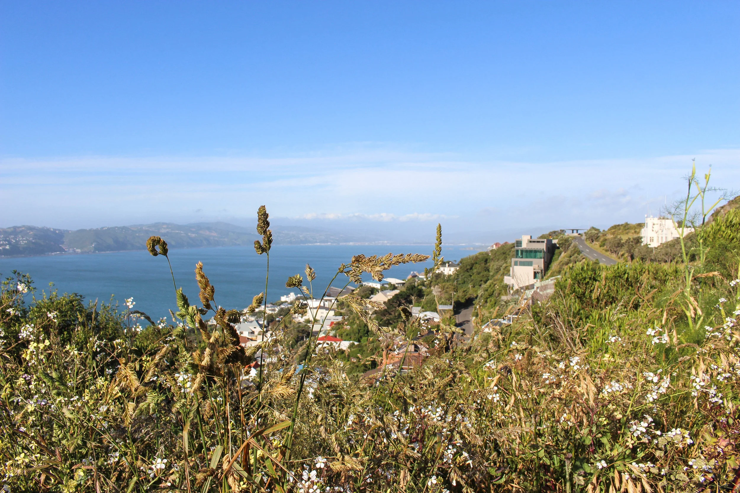IMG_9866.jpg