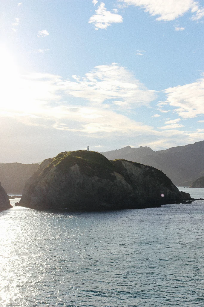 IMG_7755.jpg