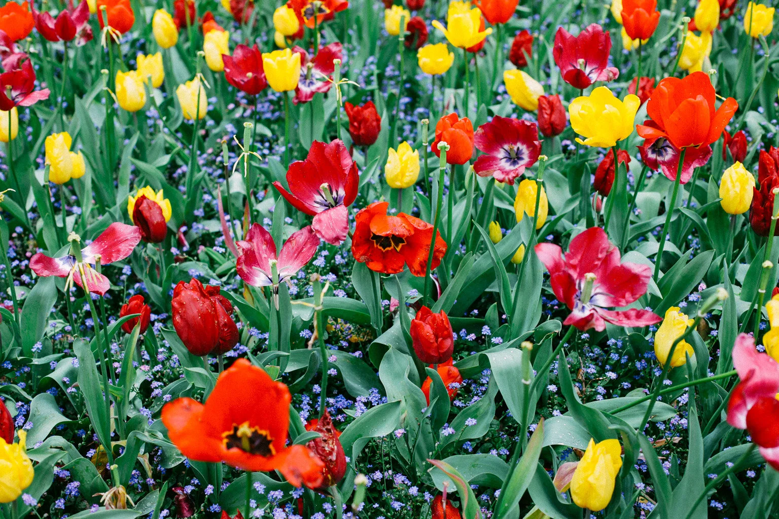 Lucy-Spring-oct19-WEB-9344.jpg