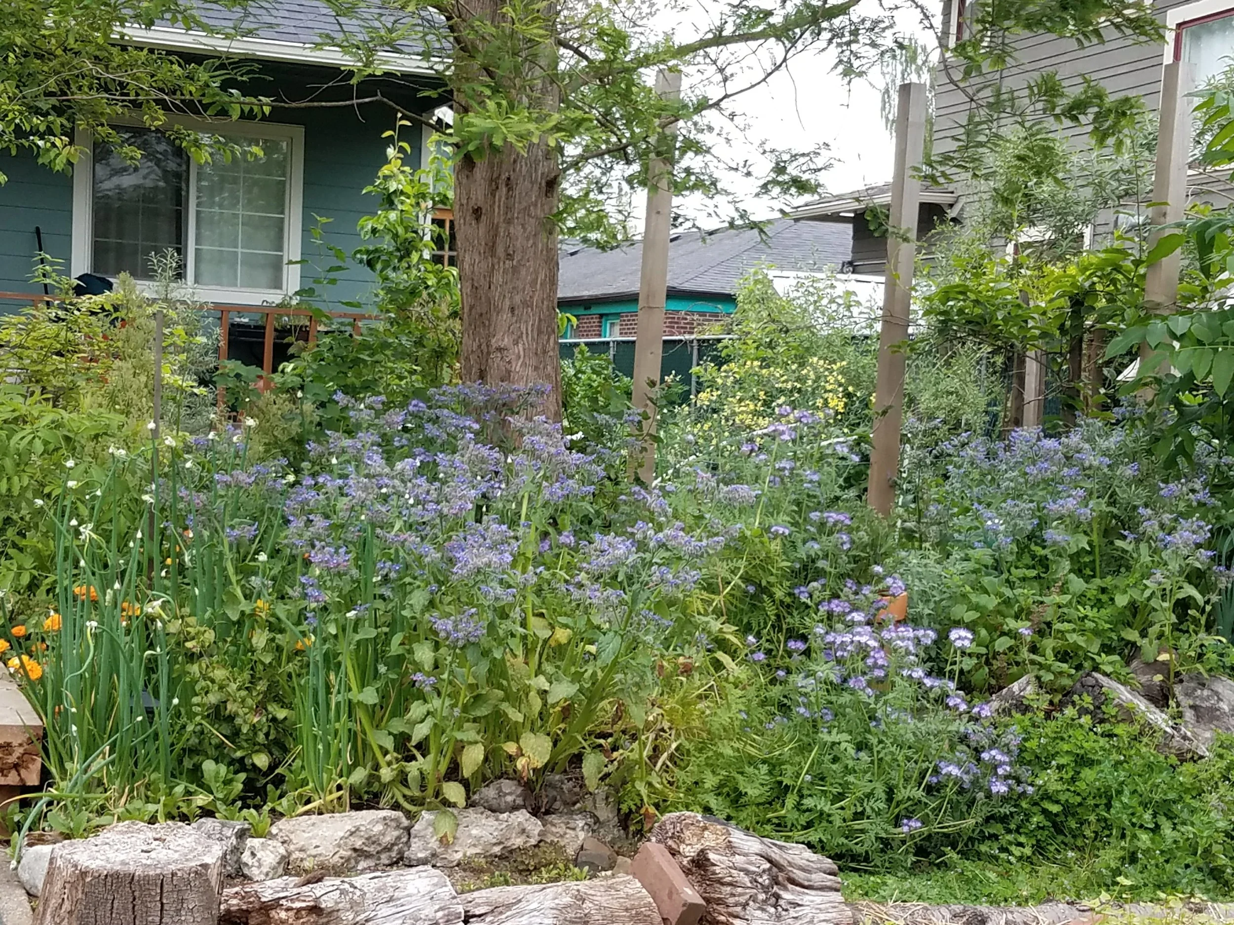 20180511_090520.jpg