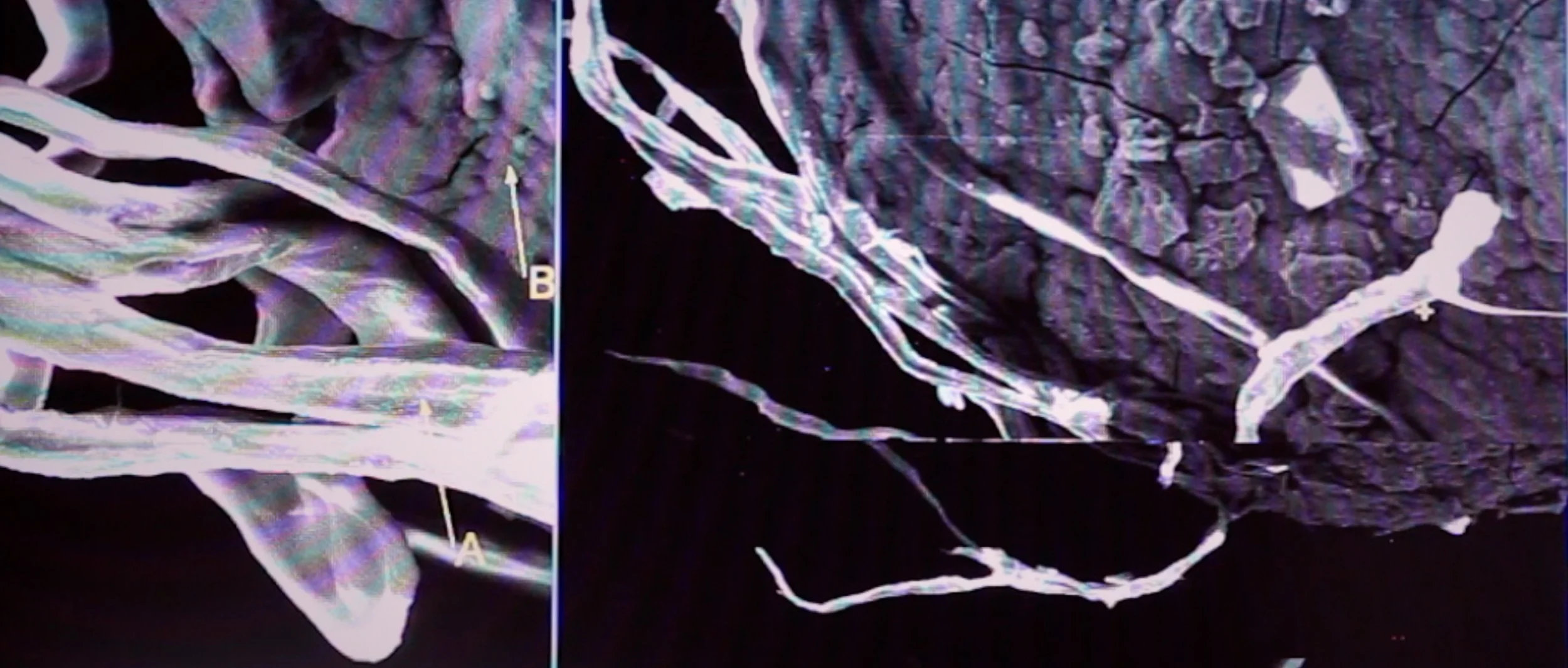 NANOTECHNOLOGY & UFOS