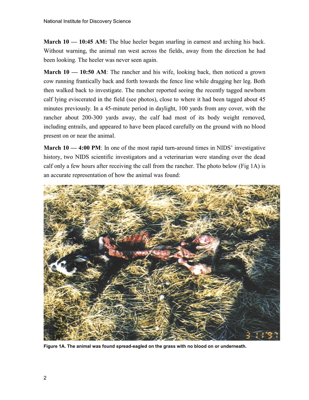1997 ANIMAL MUTILATION REPORT 1.jpg