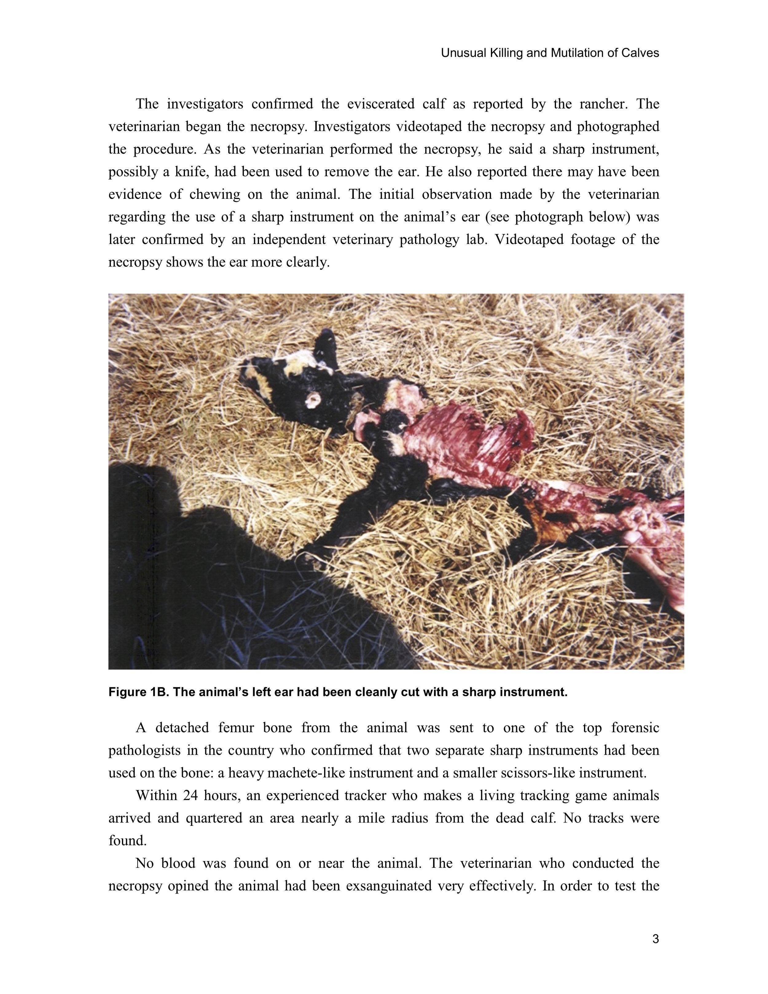 1997 ANIMAL MUTILATION REPORT 2.jpg