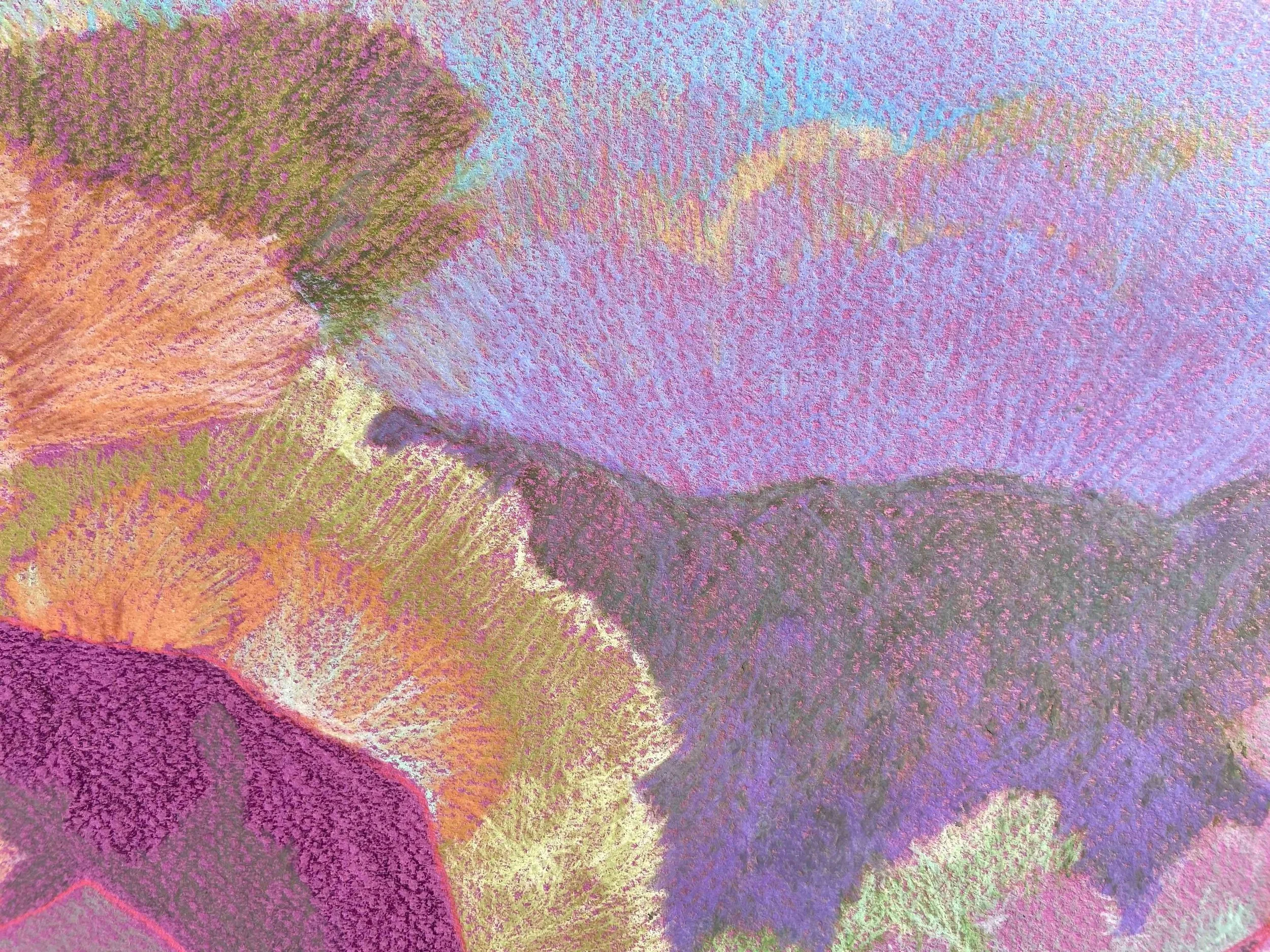 Summerset2_ Claire Ray.jpg