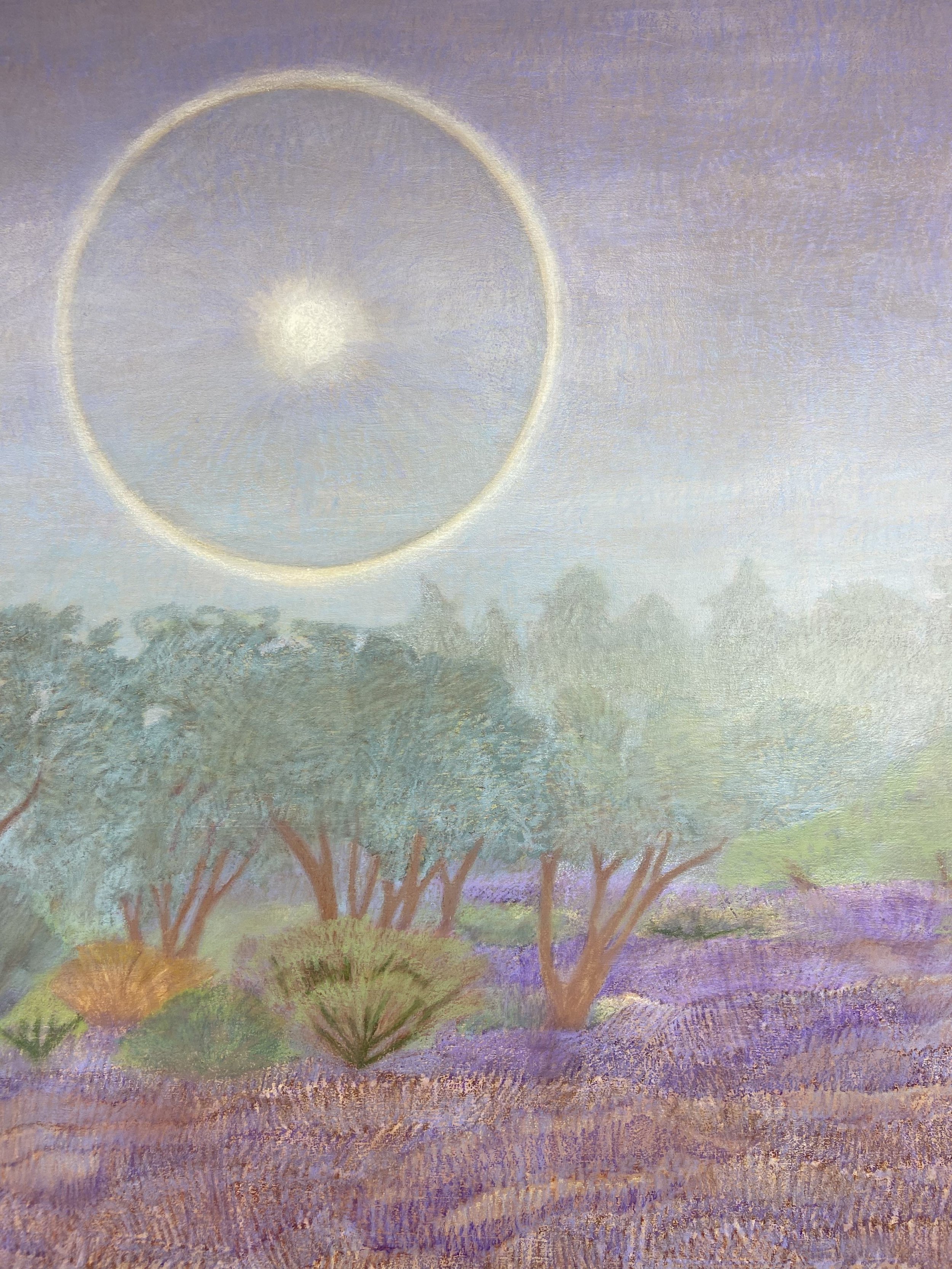 Midday Walks2_Claire Ray Art.jpg