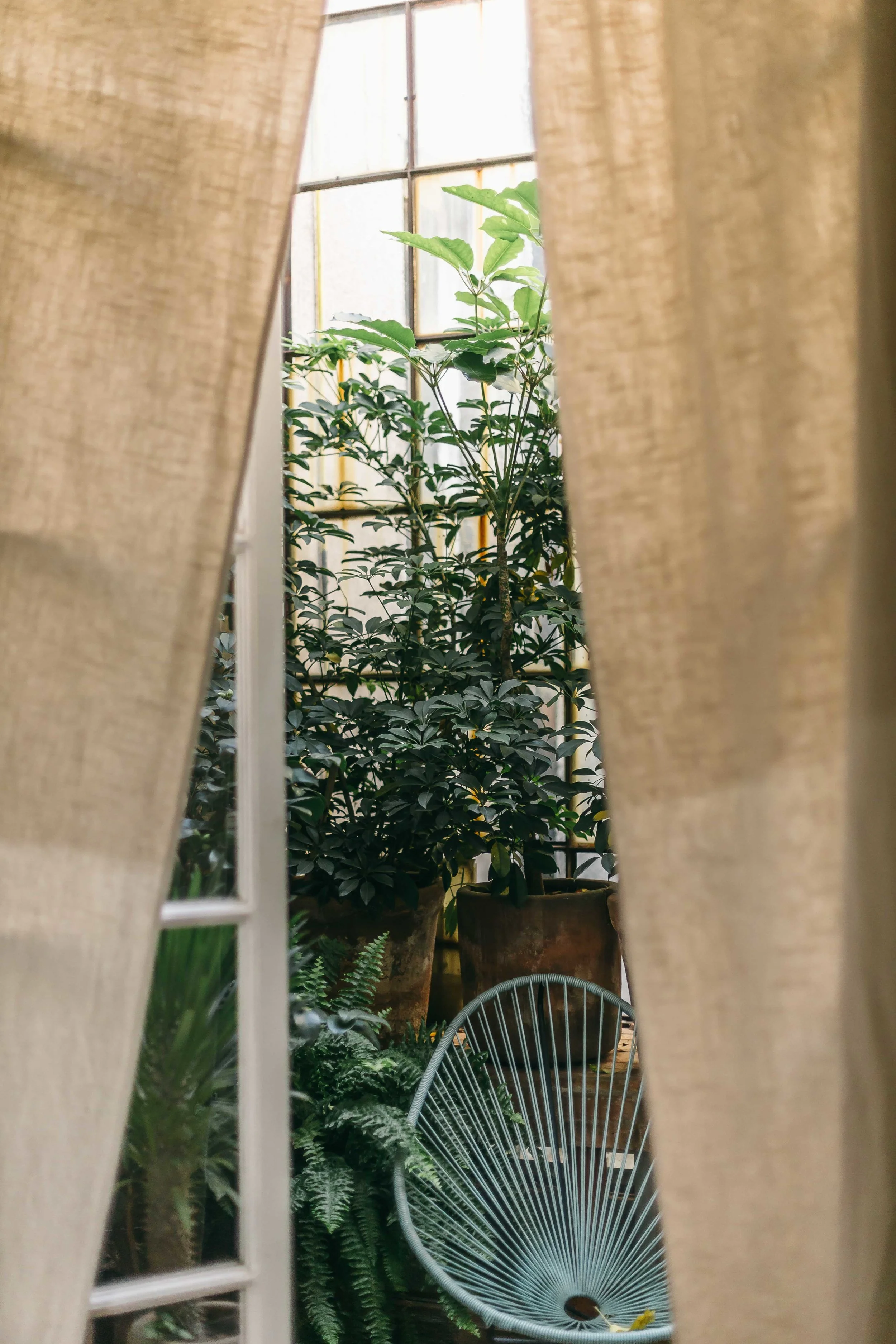 mybelonging-la-canvas-mexico-city-guide-juarez-airbnb-18.jpg