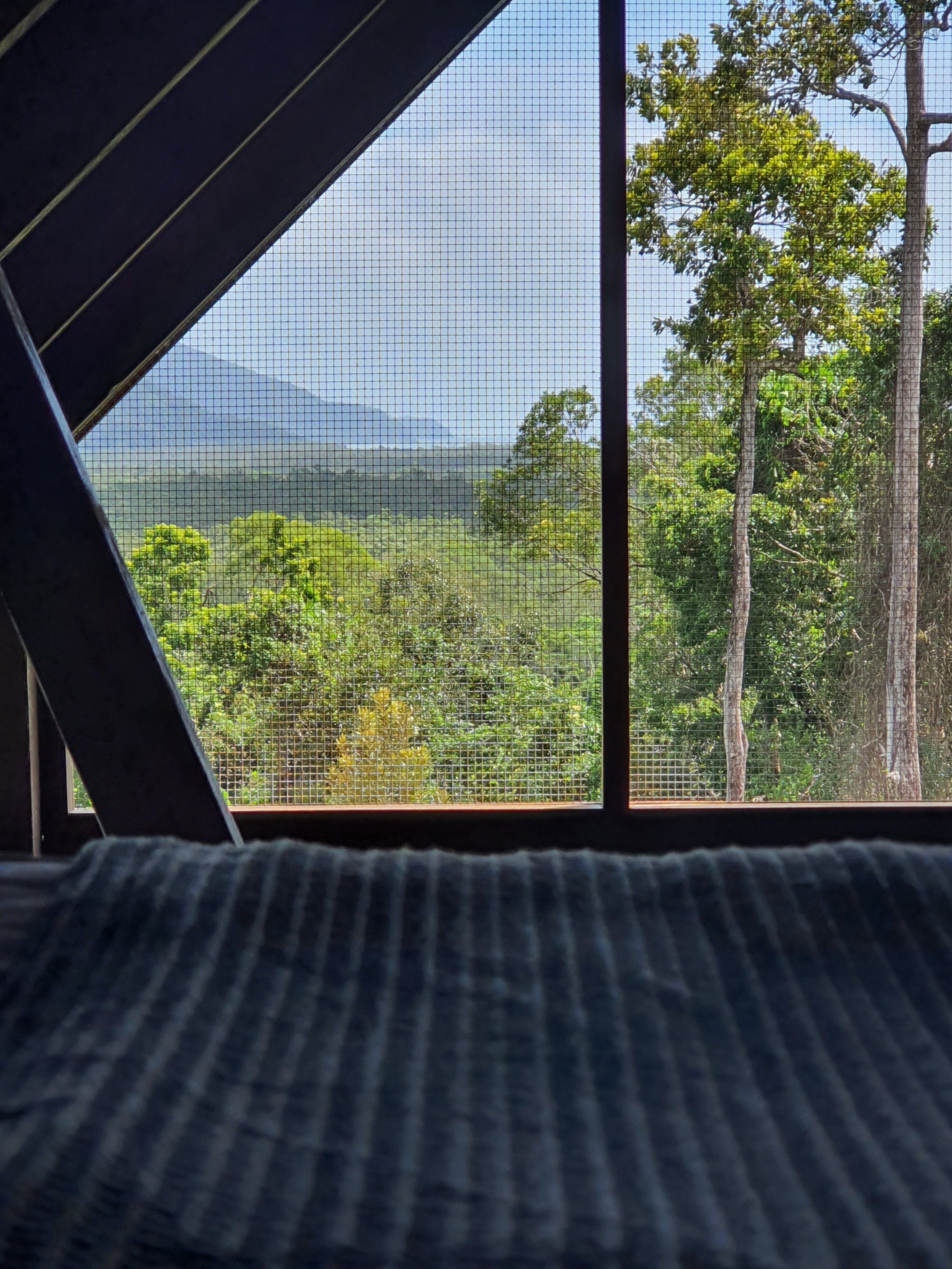 Shack Loft Queen Bed View to Cape Tribulation