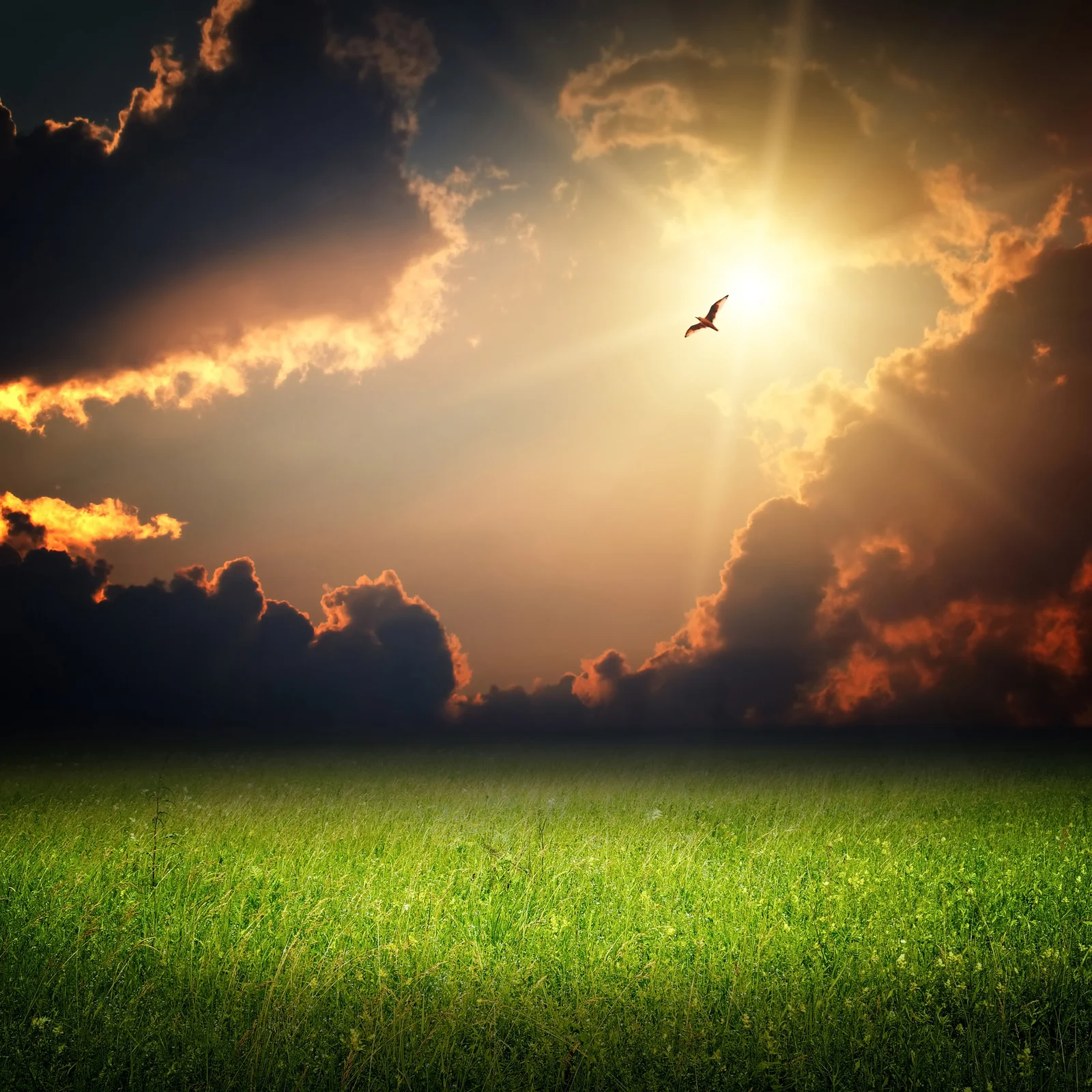 BSX Fantasy-Landscape-Magic-Sunset.jpg