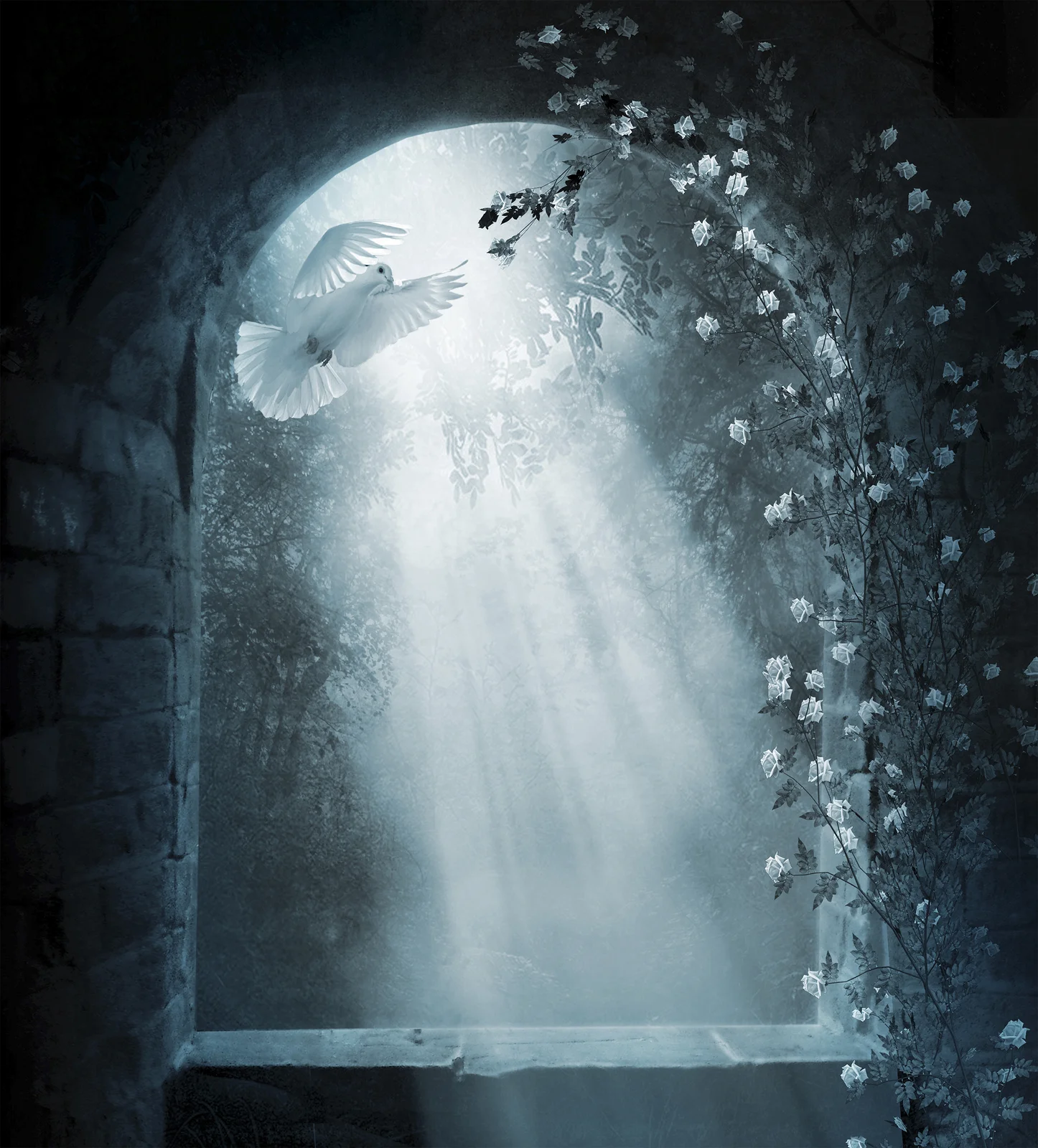 BSX Old-Window-At-Night.jpg