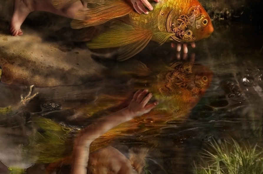 BSX The-girl-releases-a-gold-fish.jpg