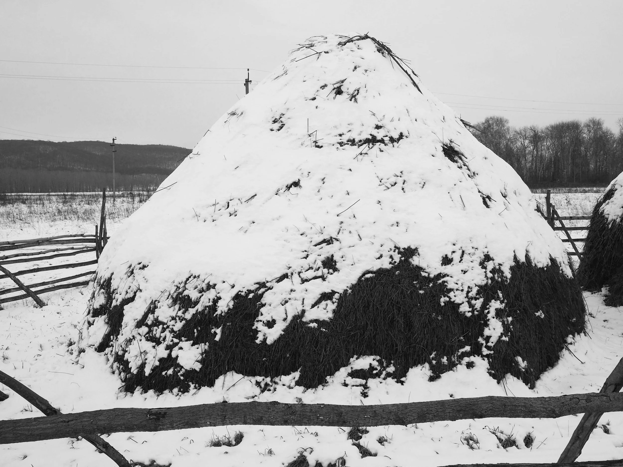 haystack_1.jpg