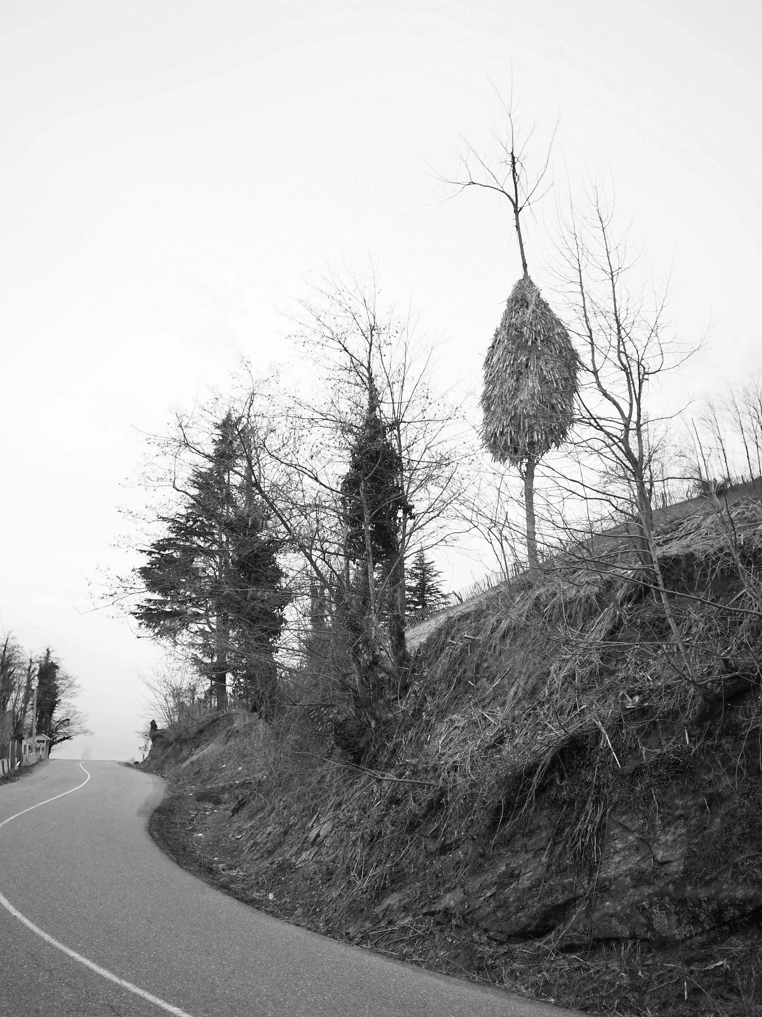 haystack3.jpg