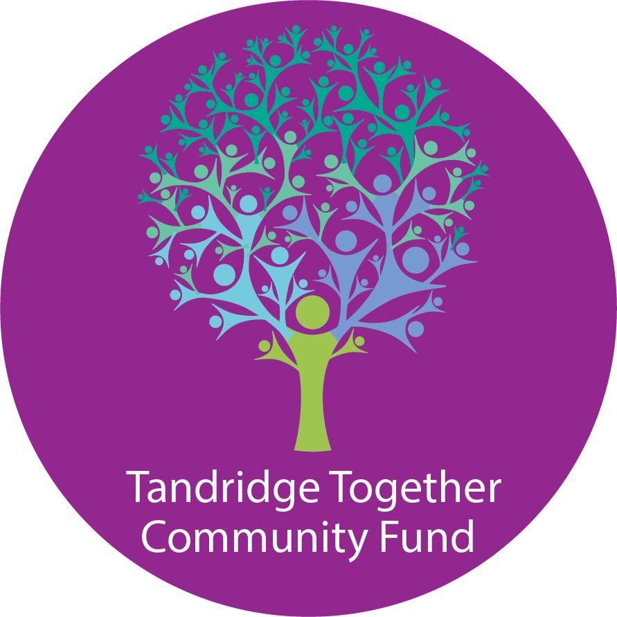 Tandridge Together Community Fund Logo.png