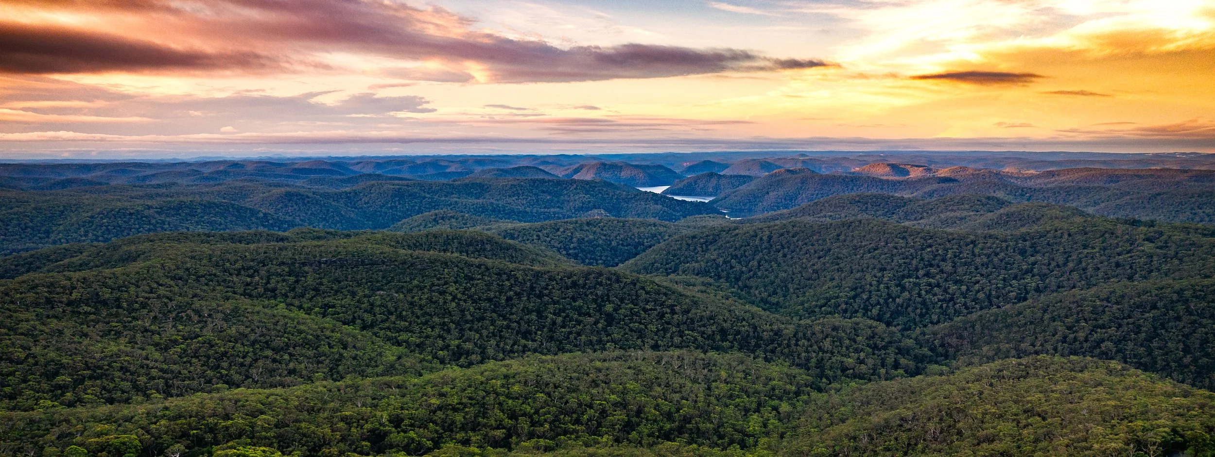dusk aerial berowra-1.jpg