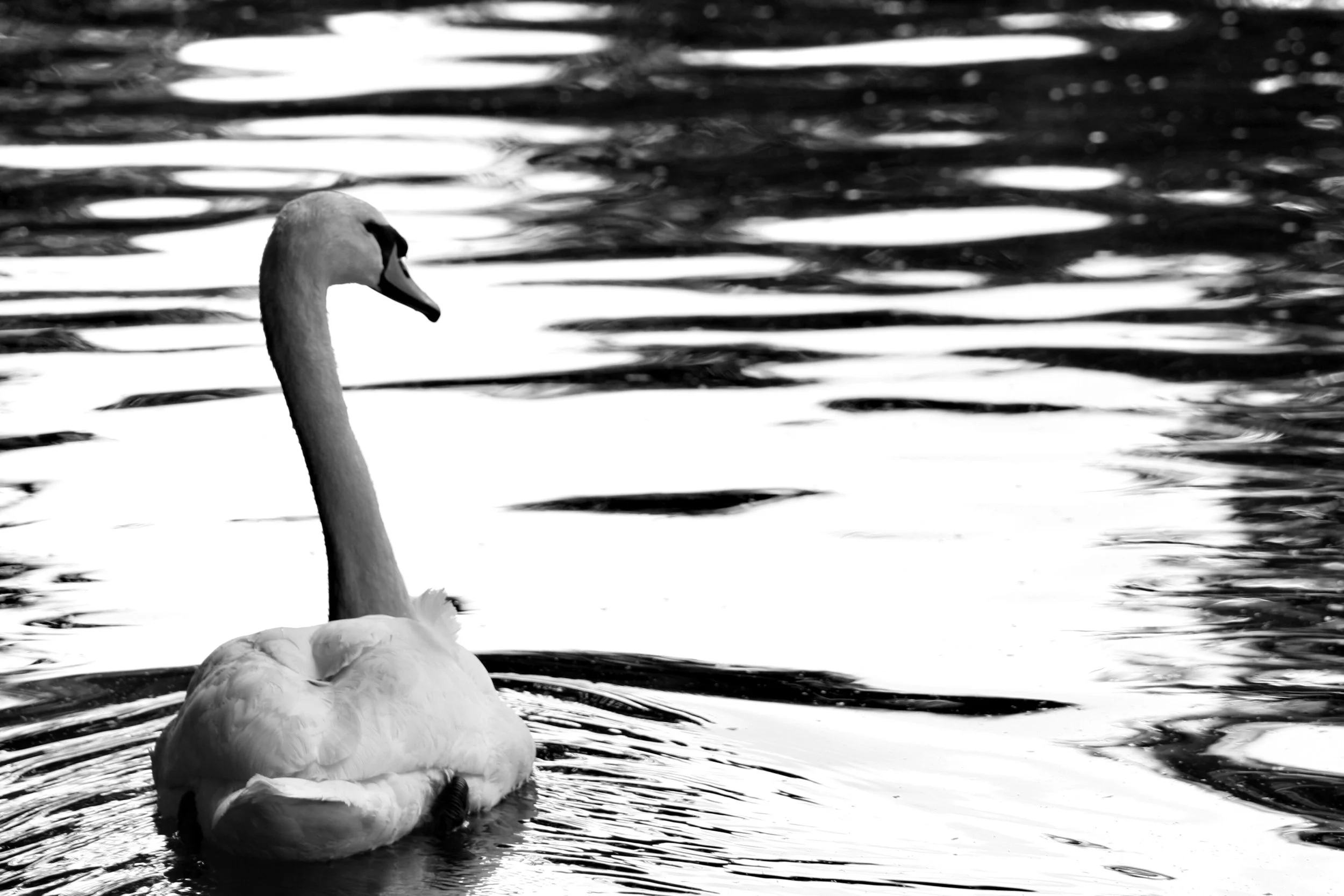 Network In Beds Meeting