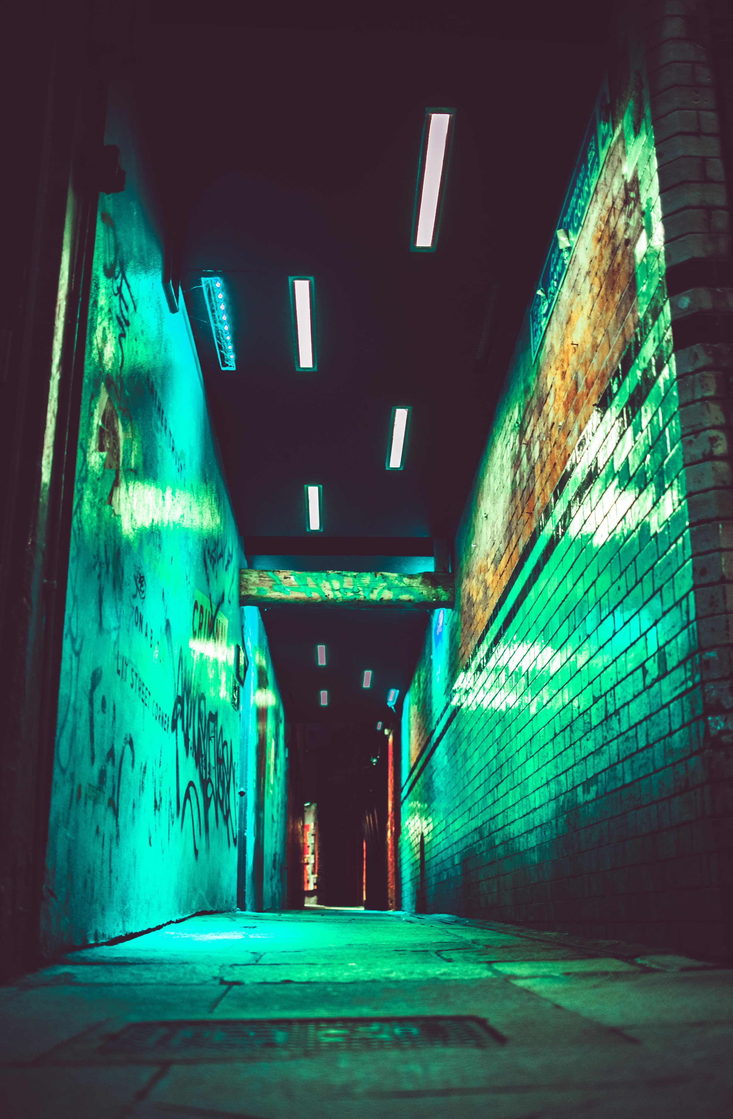 Green n' freaky/fleeky allyway // Dublin