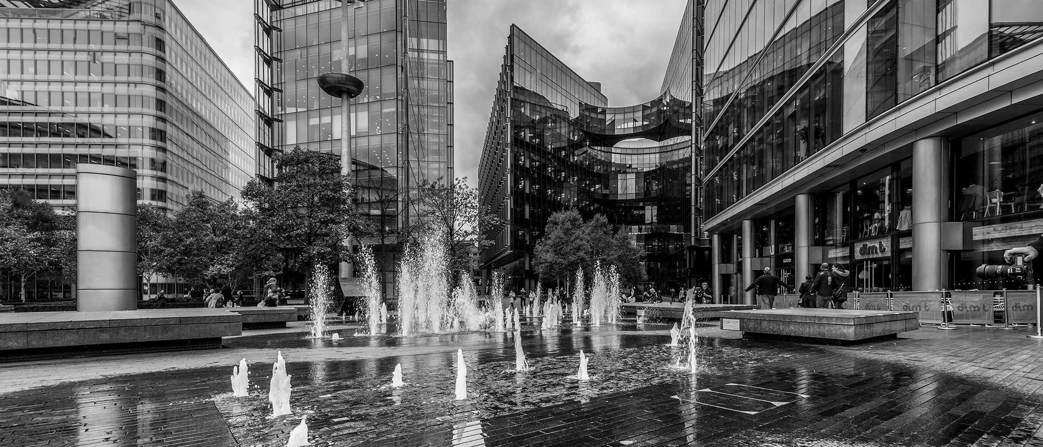 DSC_4928-.jpg