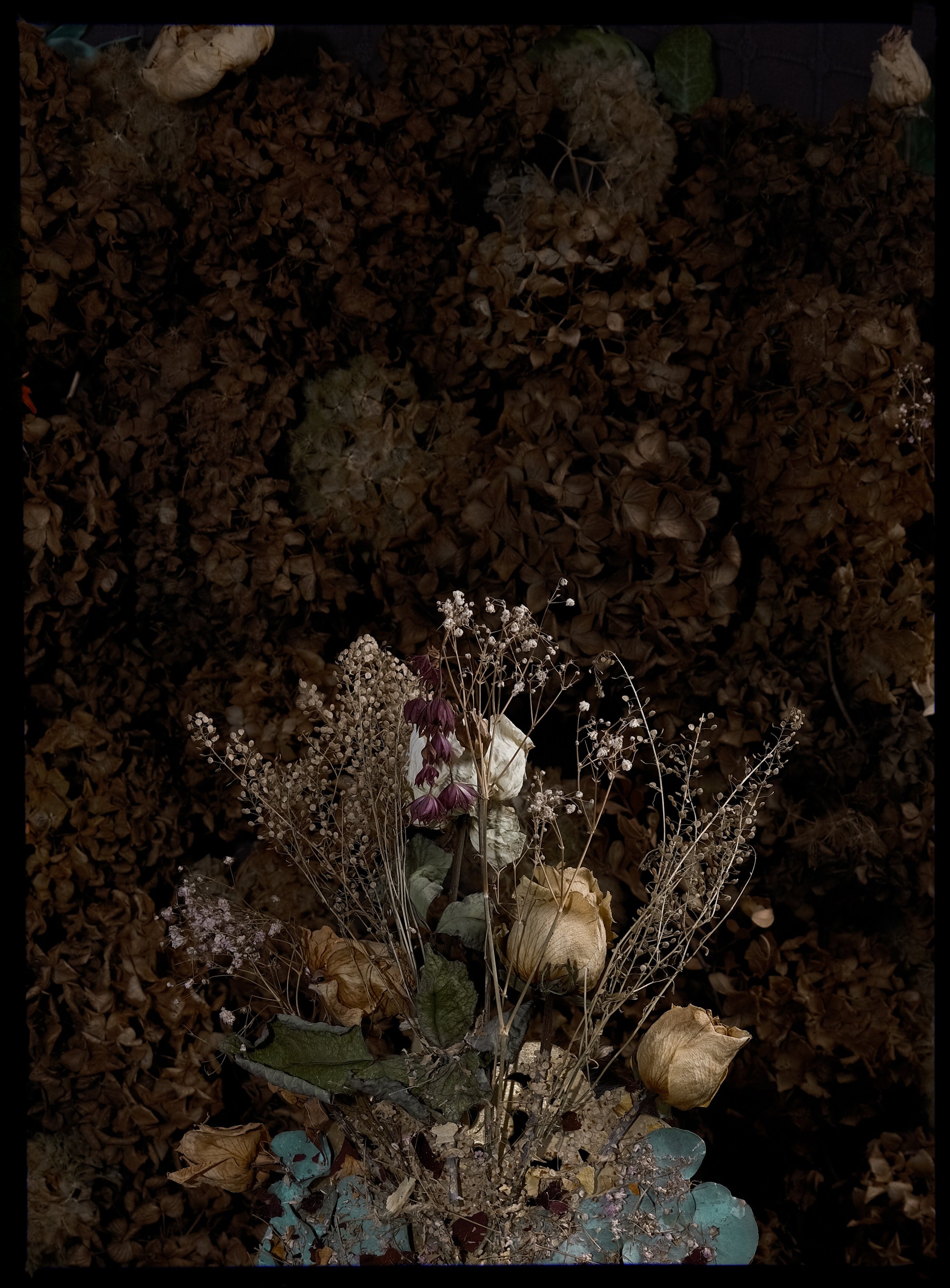 @JeromeCotonMasque-eleonore-NB_08.jpg