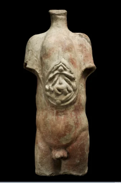 Fig. 3. Votive male torso from the Roman Republican period, reportedly excavated from Isola Farnese near Rome between 1871 and 1900. Photograph courtesy of Science Museum, London/Wellcome Images 