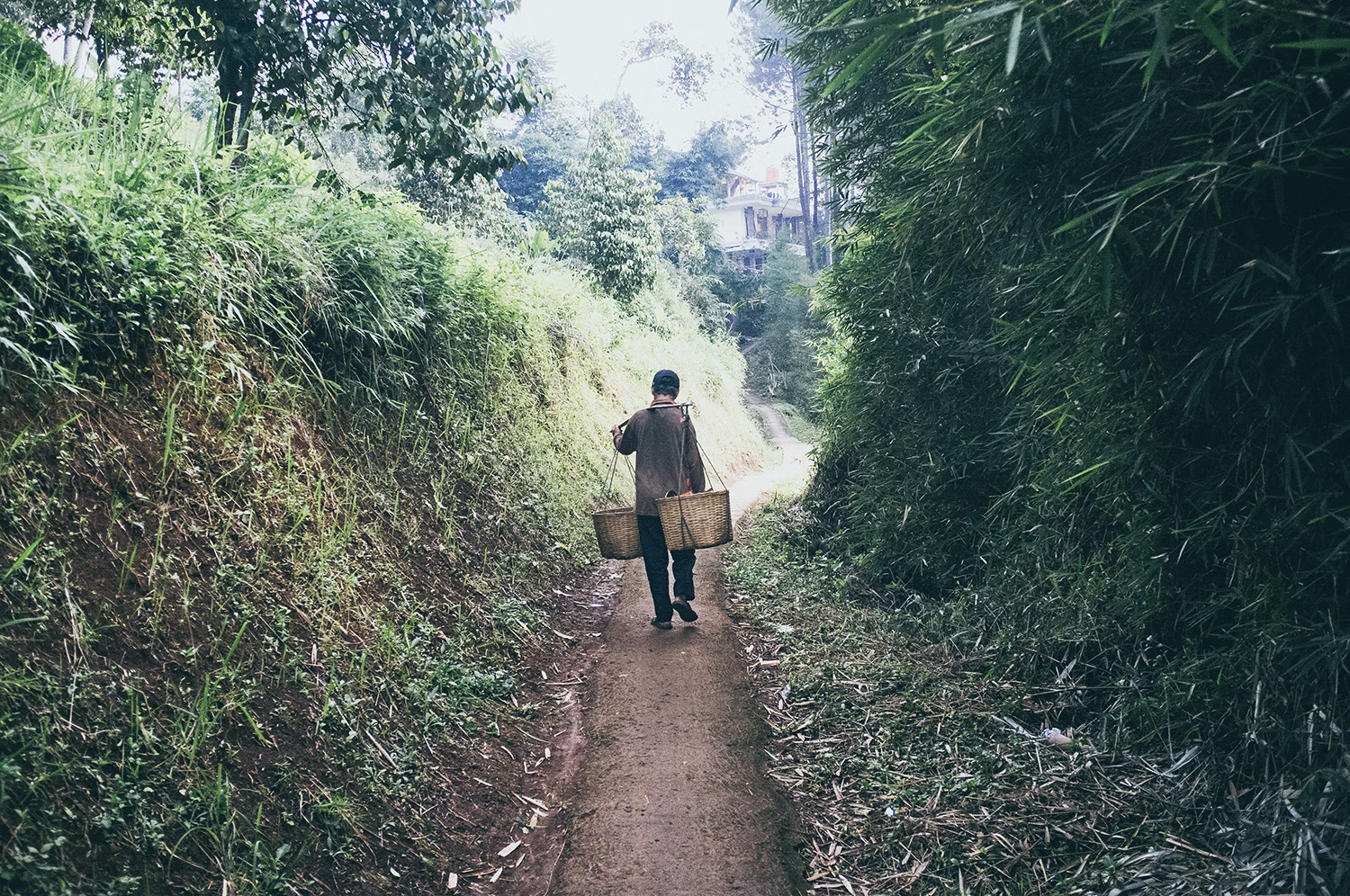 Kyle-Kresge-Indonesia-path.jpg