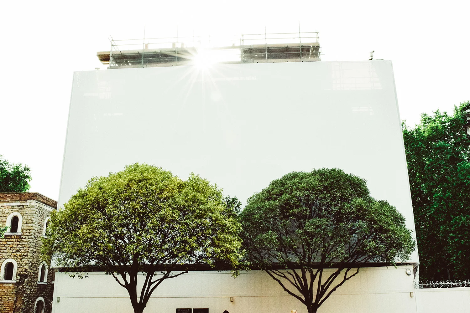 Kyle-Kresge-London-Trees.jpg