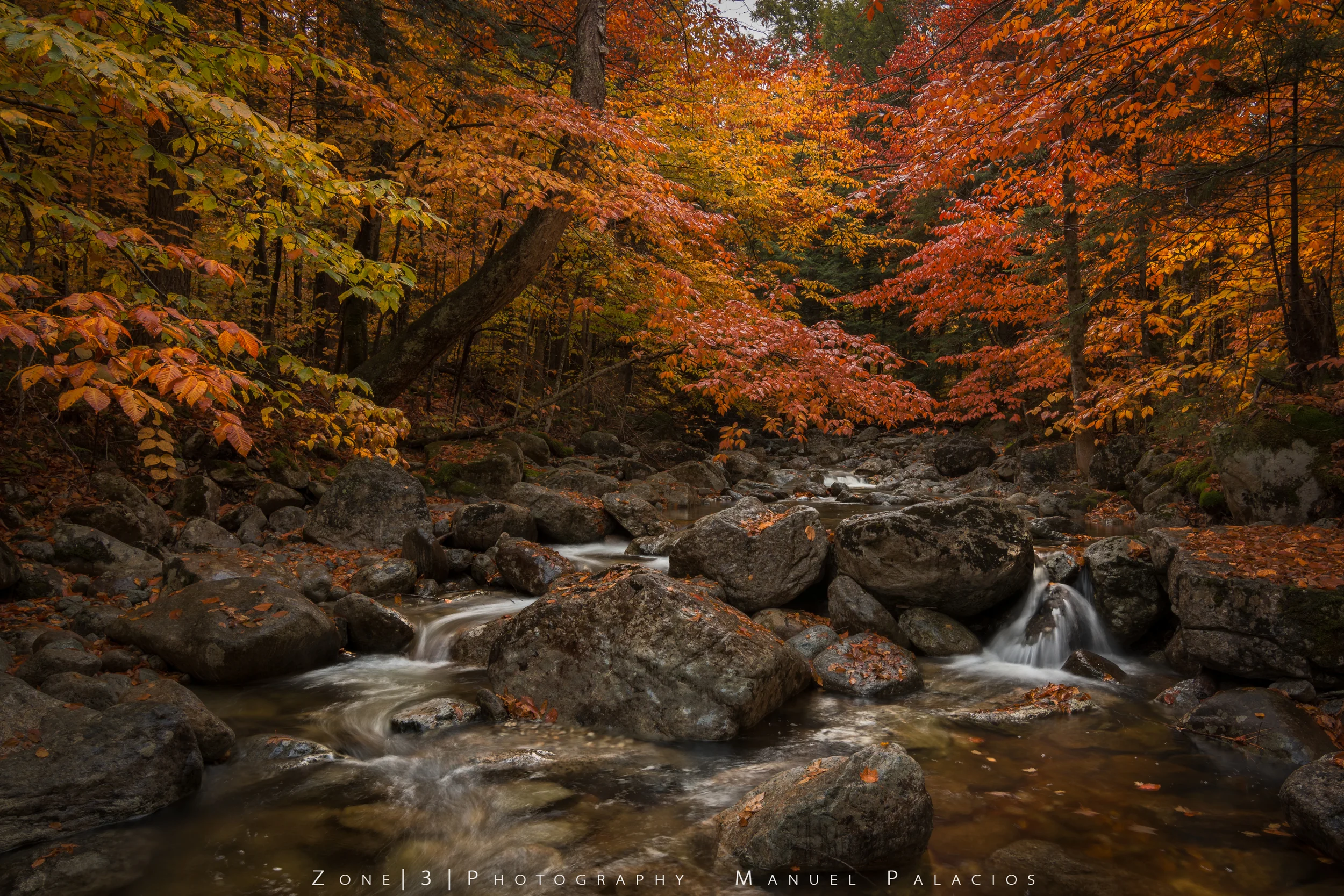 Falling for Gill Brook