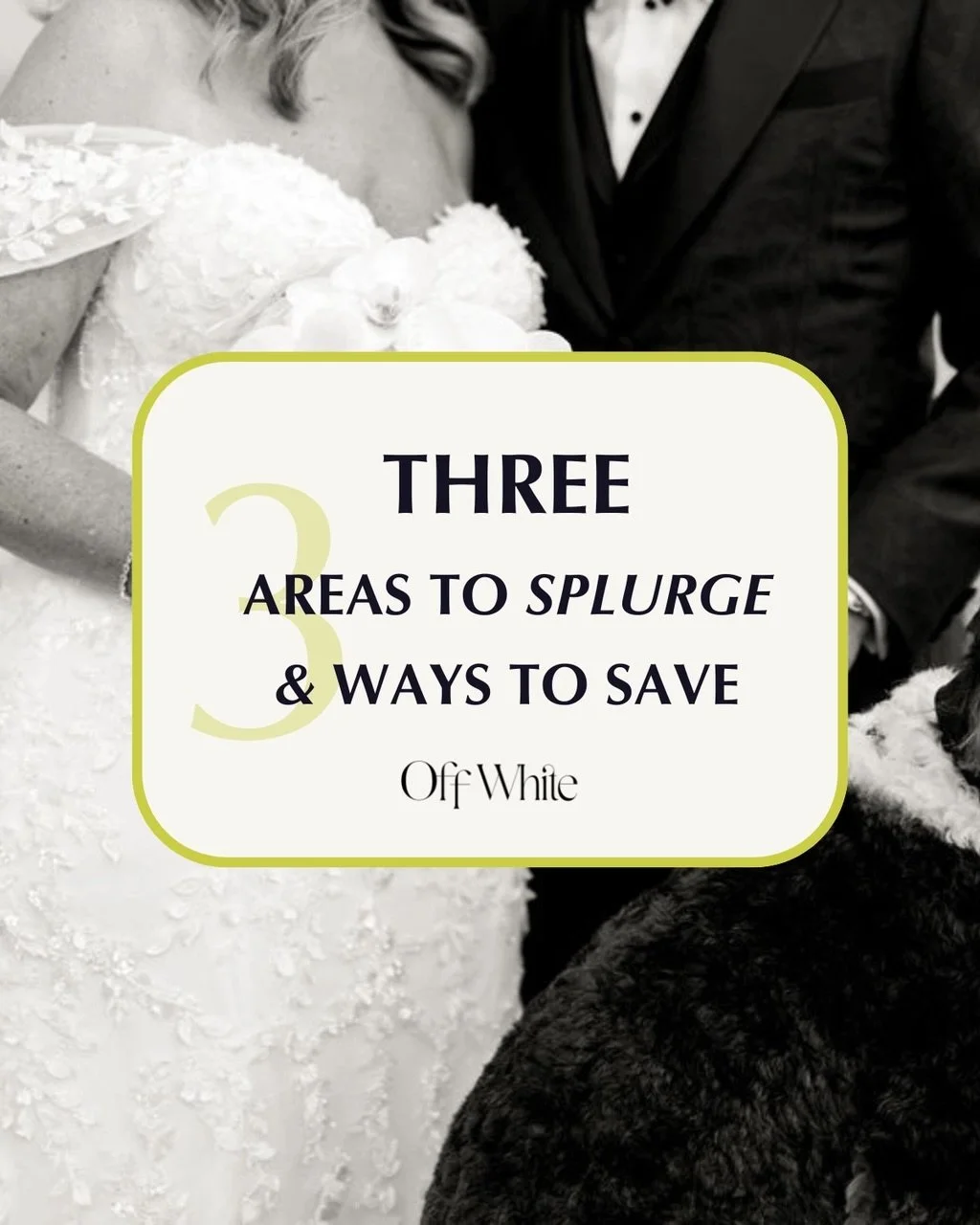 Want a beautiful wedding and a smart budget? It starts with knowing where to spend and where to scale back. 💸✨

Not everything needs to be a splurge, and not everything should be cut. The key is investing in what shapes the experience&hellip; and si