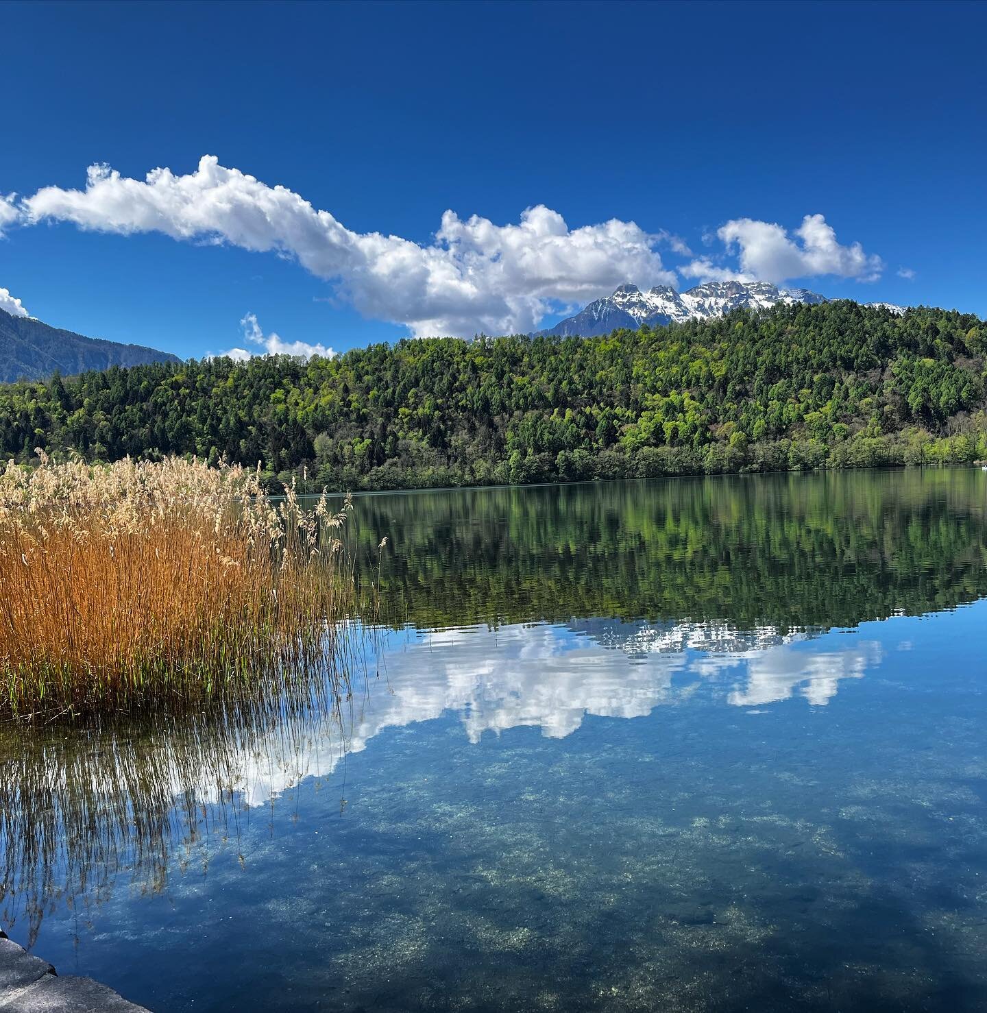 Niente trucchi, niente inganni.
Semplicemente una giornata meravigliosa! 
.
.
.
.
.
#lagodilevico #unasplendidagiornata #goodday #atthelake #lago #cielo #cieloblu #nuvole #riflesso #wow #lovethis