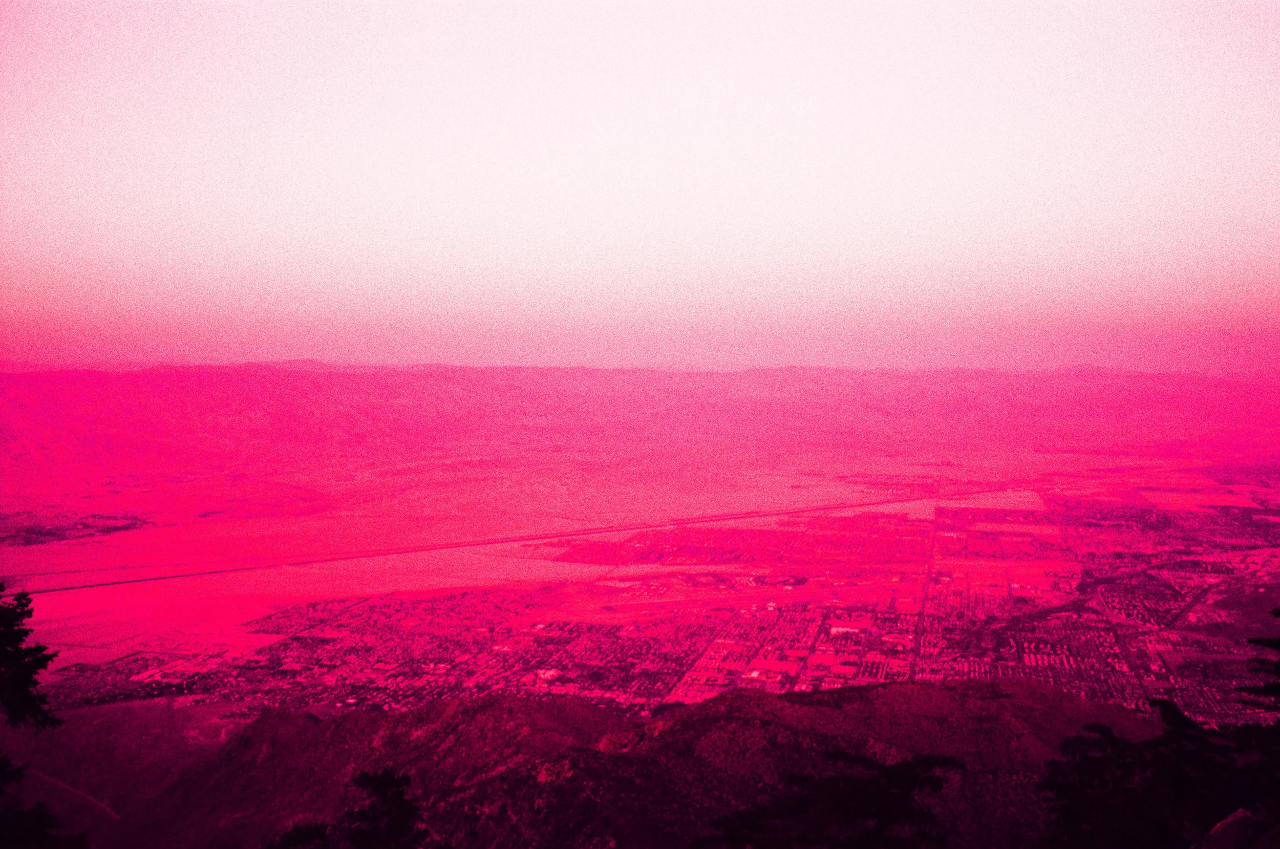 003.jpg