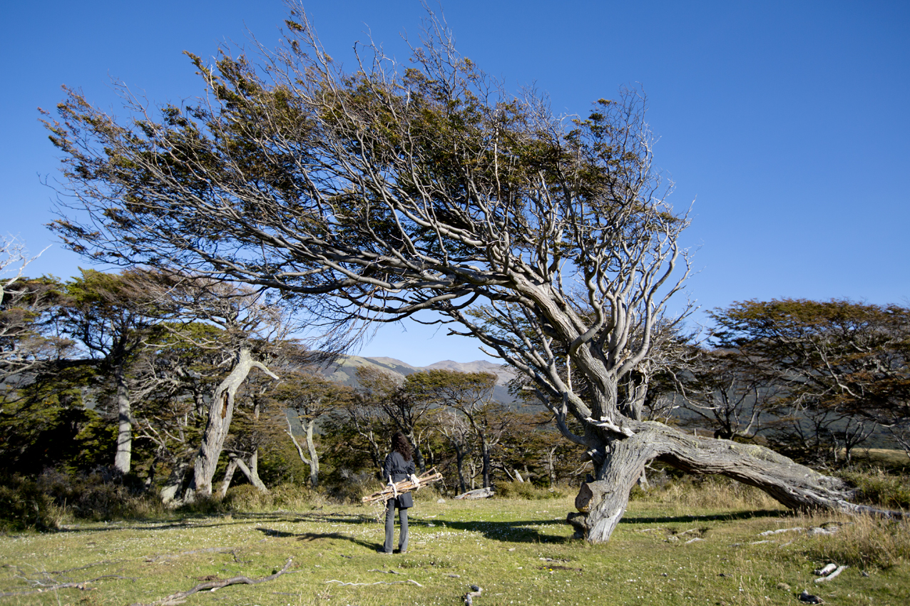  Caminatas Circulares, performance, isla Navarino, 2015.  &nbsp;(Circular Walks, performance, Navarino Island. 2015).  