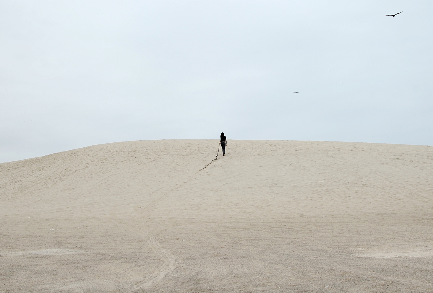 Desierto de Atacama, guiando los palos. 2011. Fotografía de la serie de performance de caminatas con los palos: Caminatas, el cuerpo y la prótesis, 2010-2014. Impresión Lambda. 80 x 120 cm. Atacama desert, guiding the sticks , 2011. From the series of performance with the sticks: Walks, The Body and the Prosthetic, 2010 - 2014. Lambda print , 80 x 120 cm.