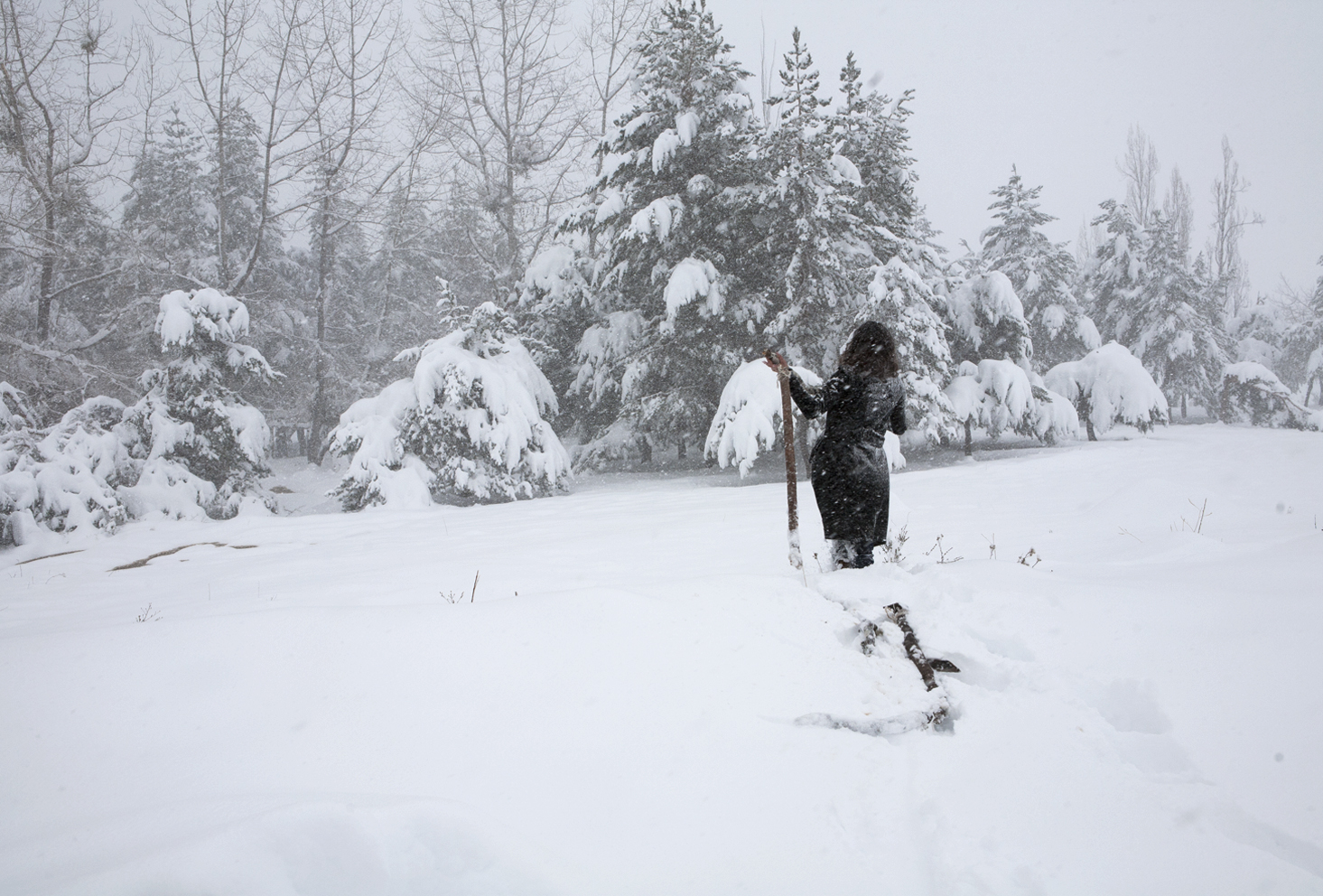 Bosque nevado, arrastrando los palos, 2012. Fotografía de la serie de performance de caminatas con los palos: Caminatas, el cuerpo y la prótesis, 2010-2014. Impresión Lambda. 80 x 120 cm. Snow Covered forest, throwing the sticks. 2012. From the series of performance with the sticks: Walks, The Body and the Prosthetic, 2010-2014. Lambda print, 80 x 120 cm.